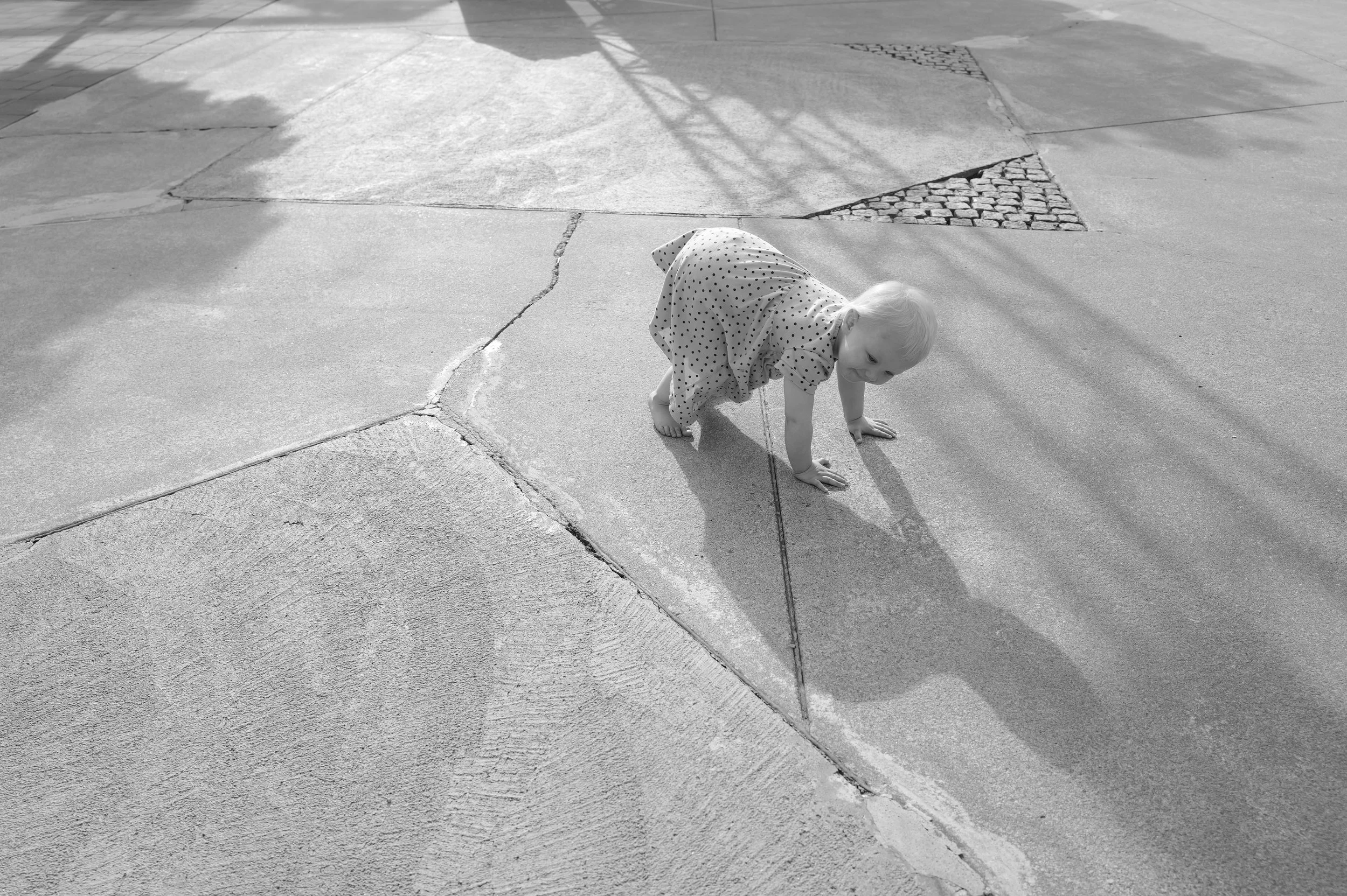 L1004048.jpg