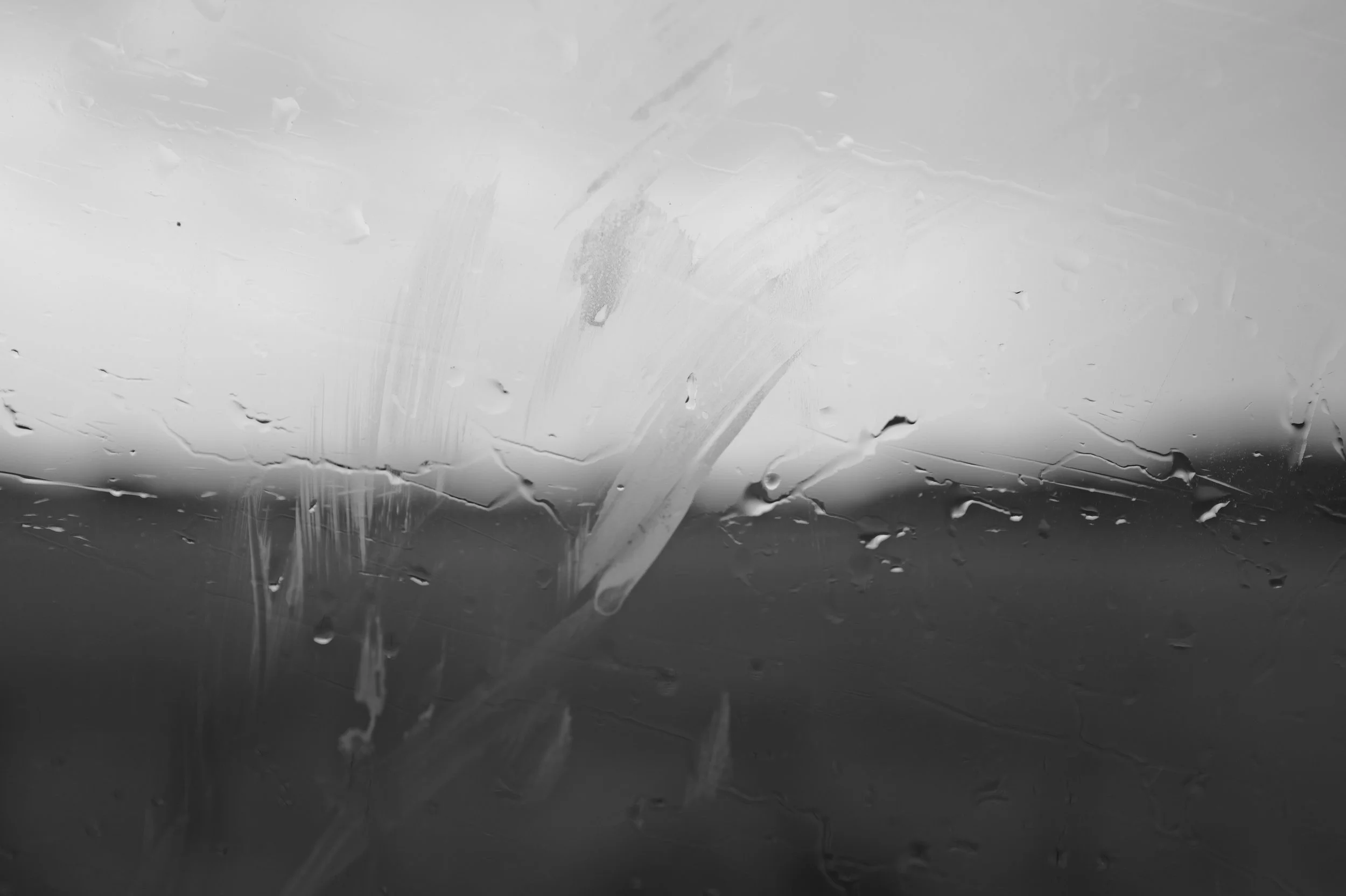 L1004219.jpg