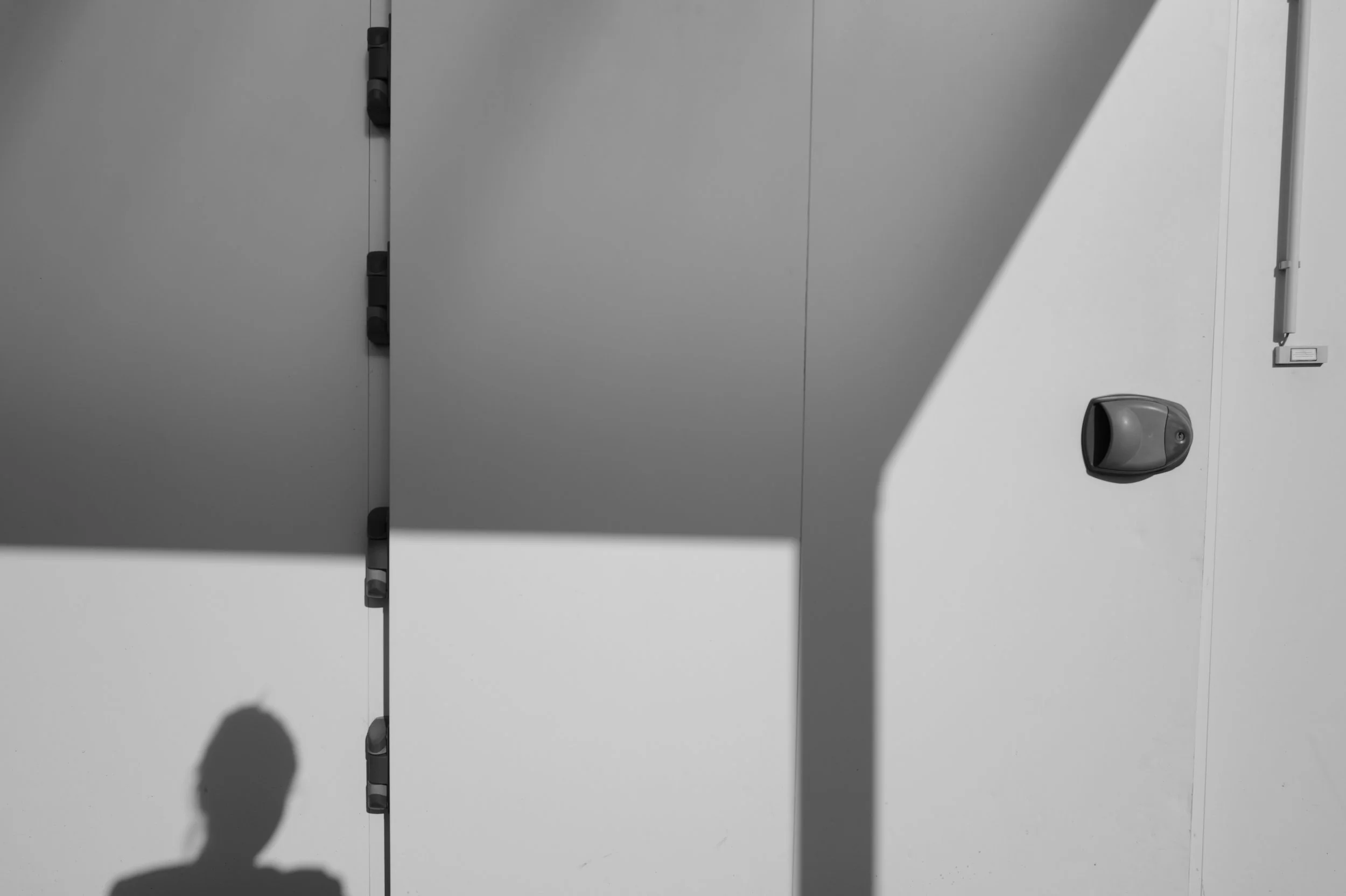 L1010745.jpg