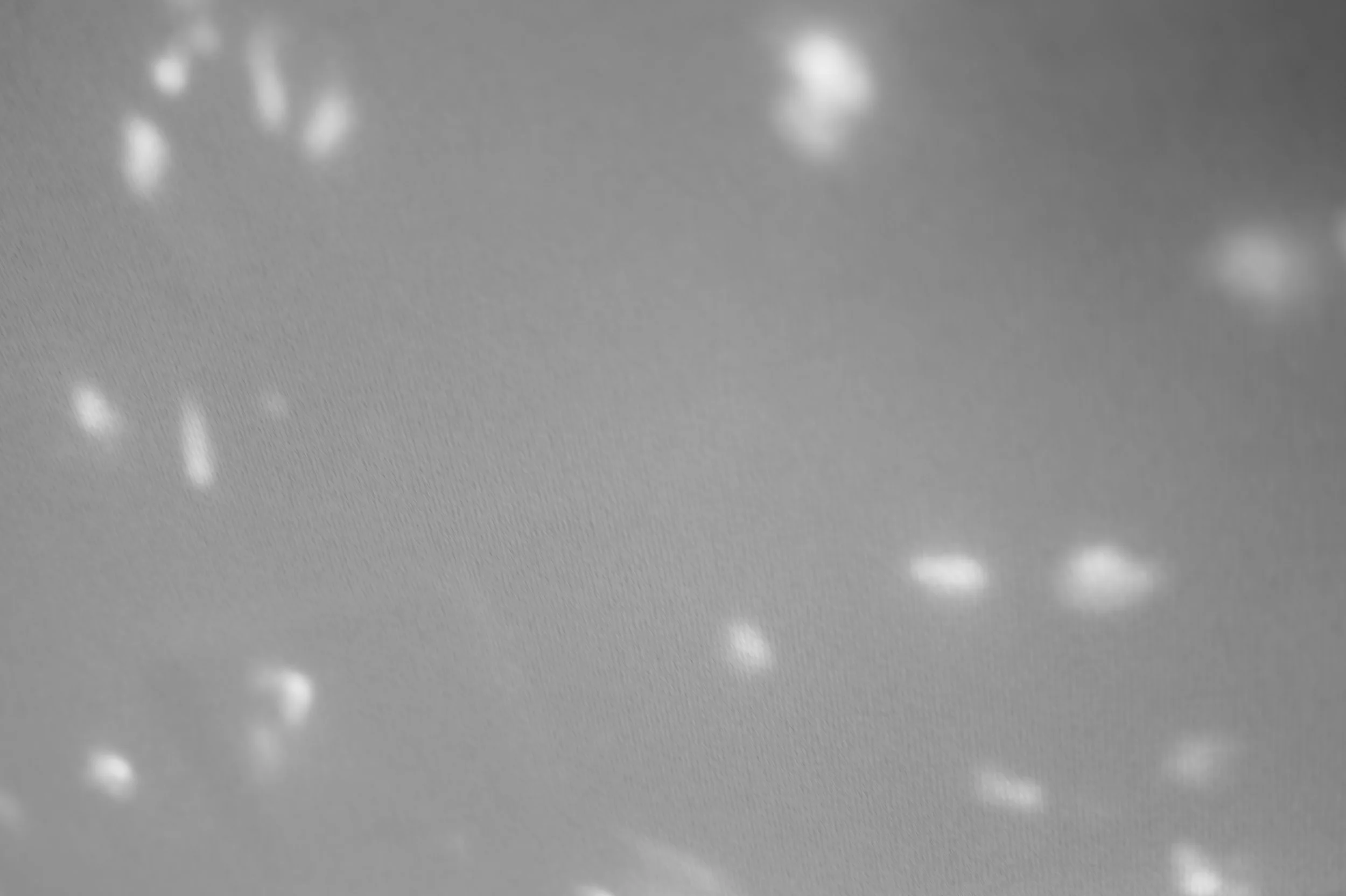 L1010742.jpg