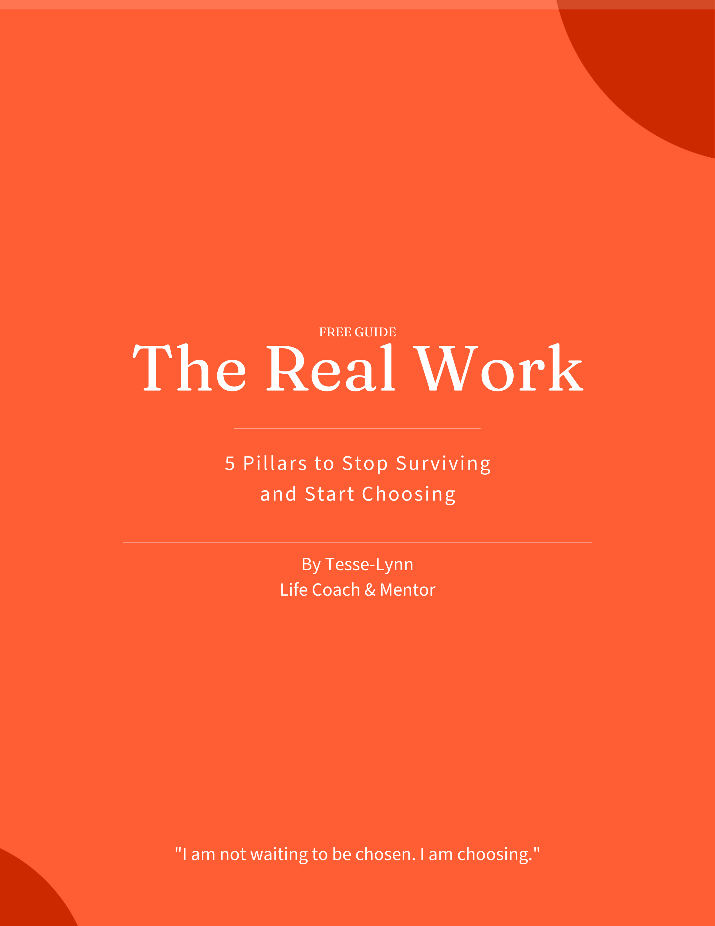 TLC The Real Work Guidebook cover.png