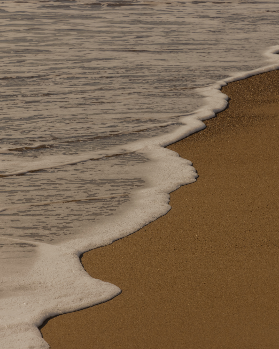 Navigating Life’s Transitions: Supporting Families Through Summer Changes