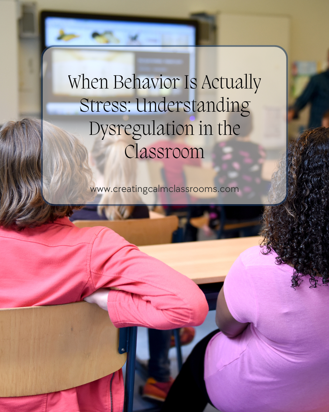 A picture of children in a classroom with the title "When behaviour is actually stress: understanding dysregulation in the classroom.