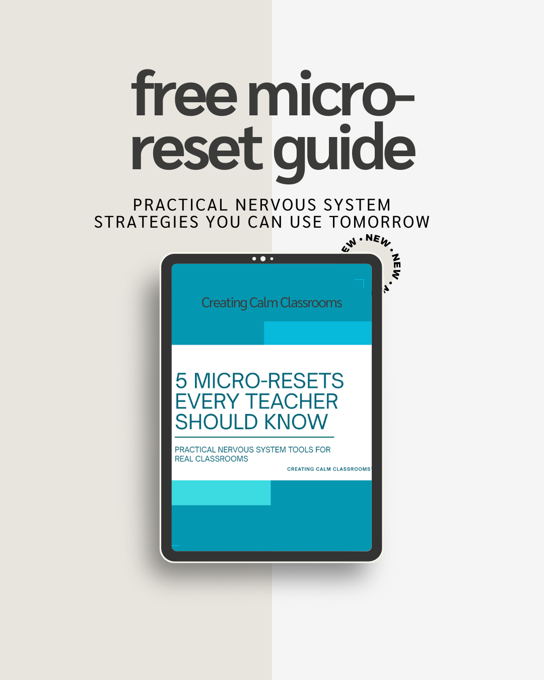 An image showing the Free MircoReset Guide for Teachers