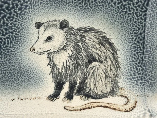tefft possum closeup.jpeg