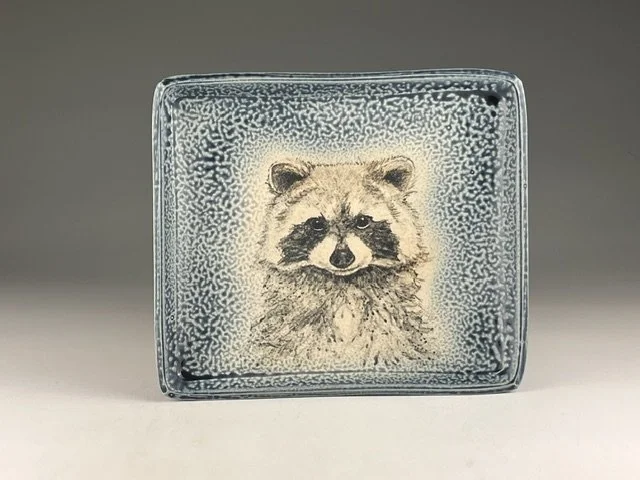 Tefft raccoon.jpeg