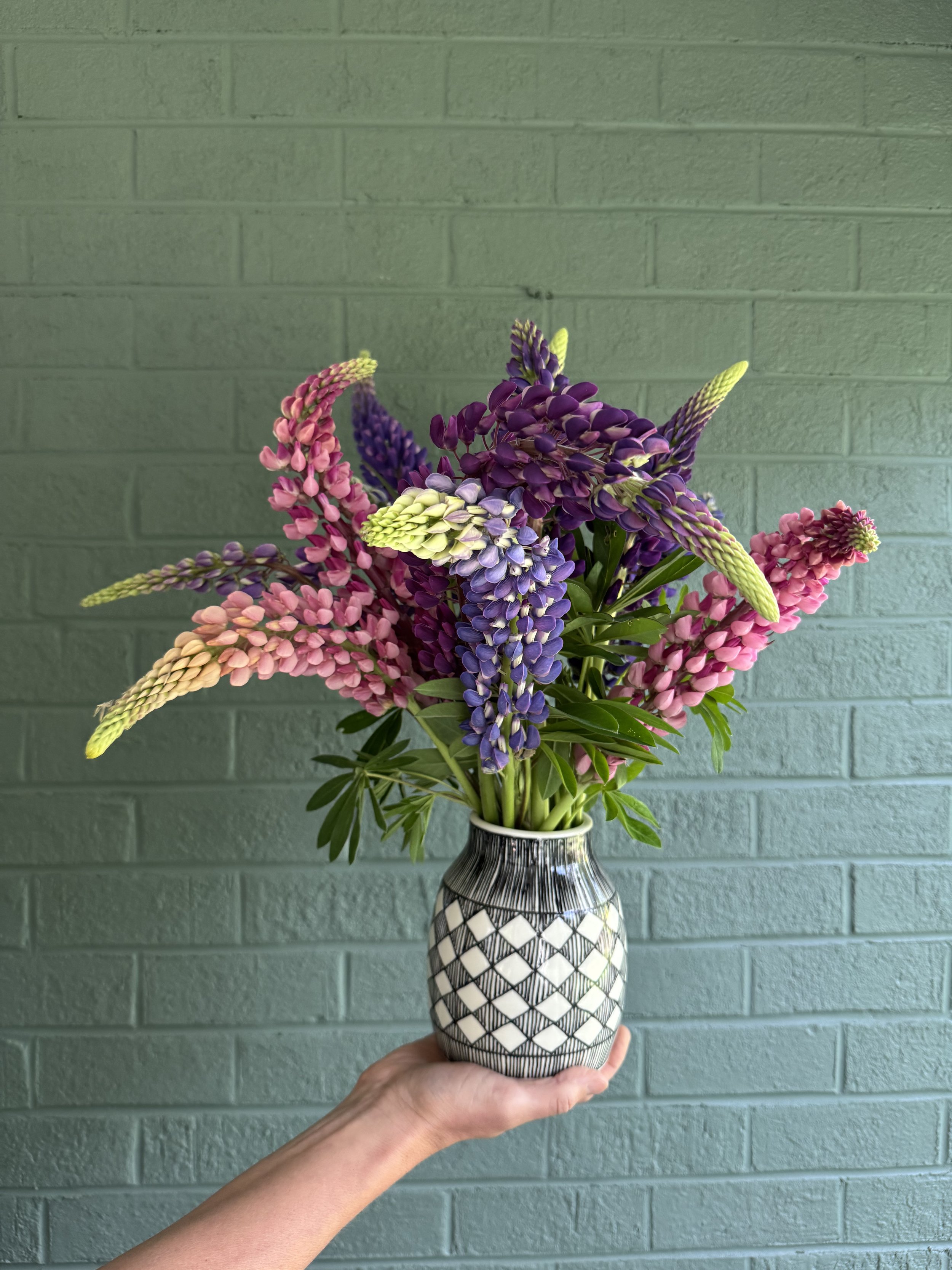 cooke -lupine:vase.jpeg