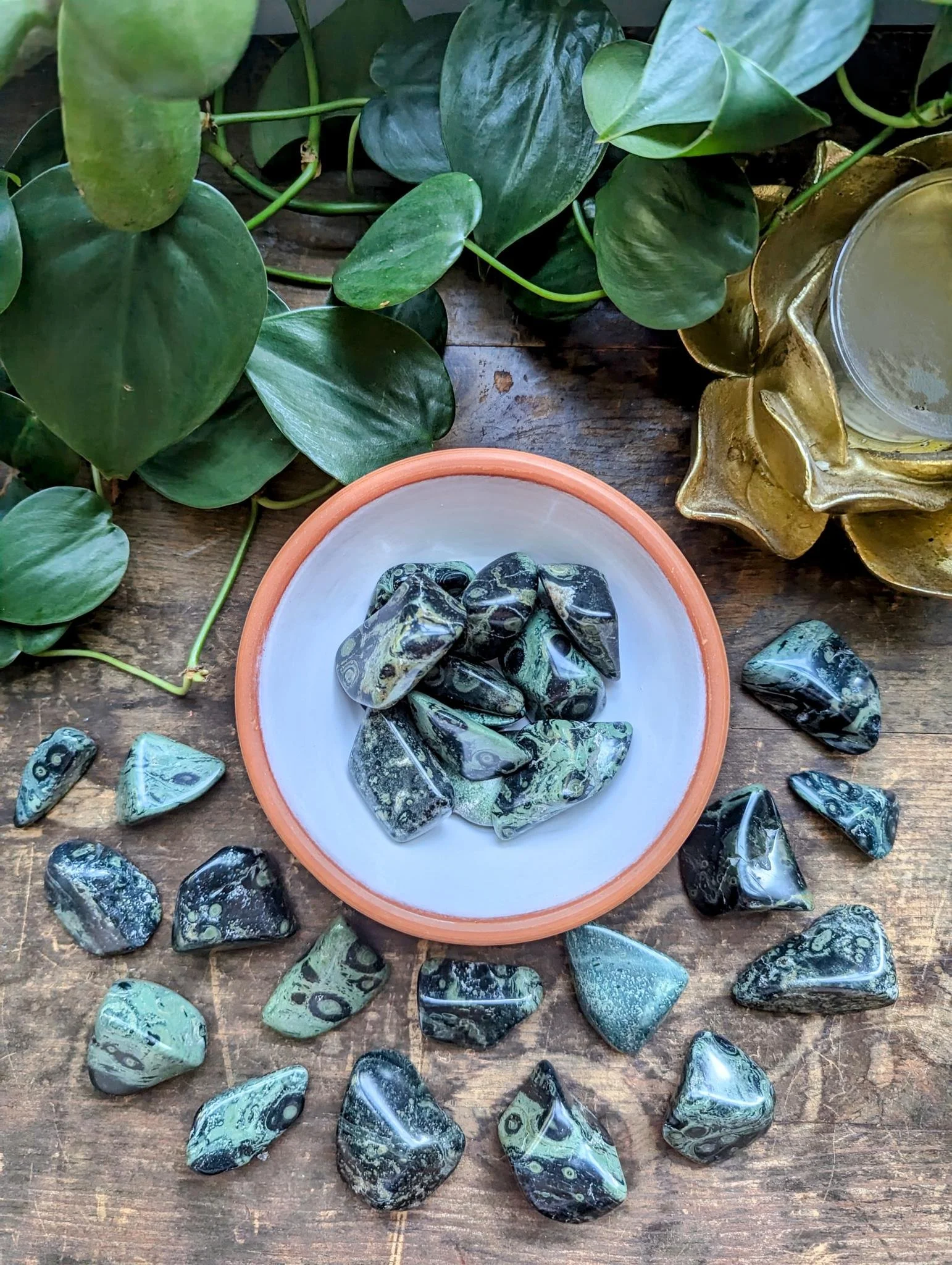 Kambaba Jasper 2.jpeg