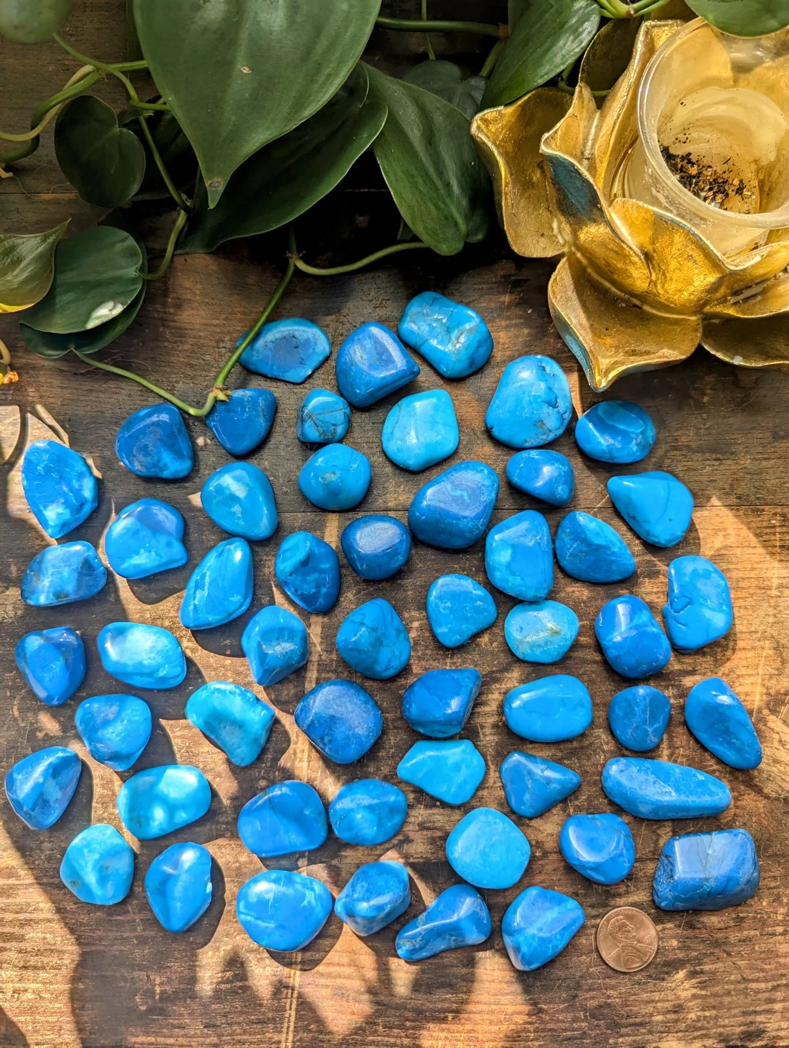 Blue Howlite 3.jpeg