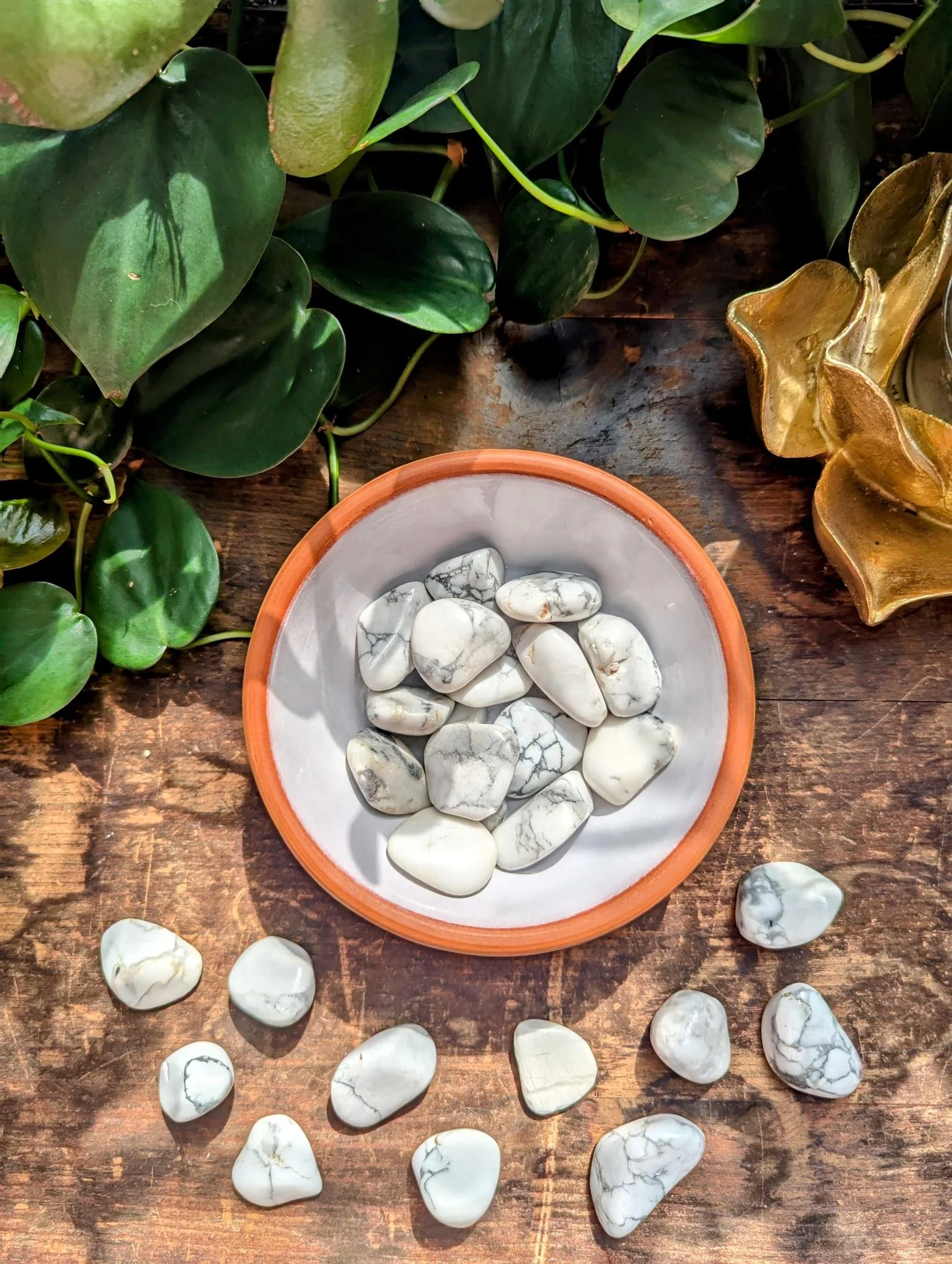 White Howlite 2.jpeg