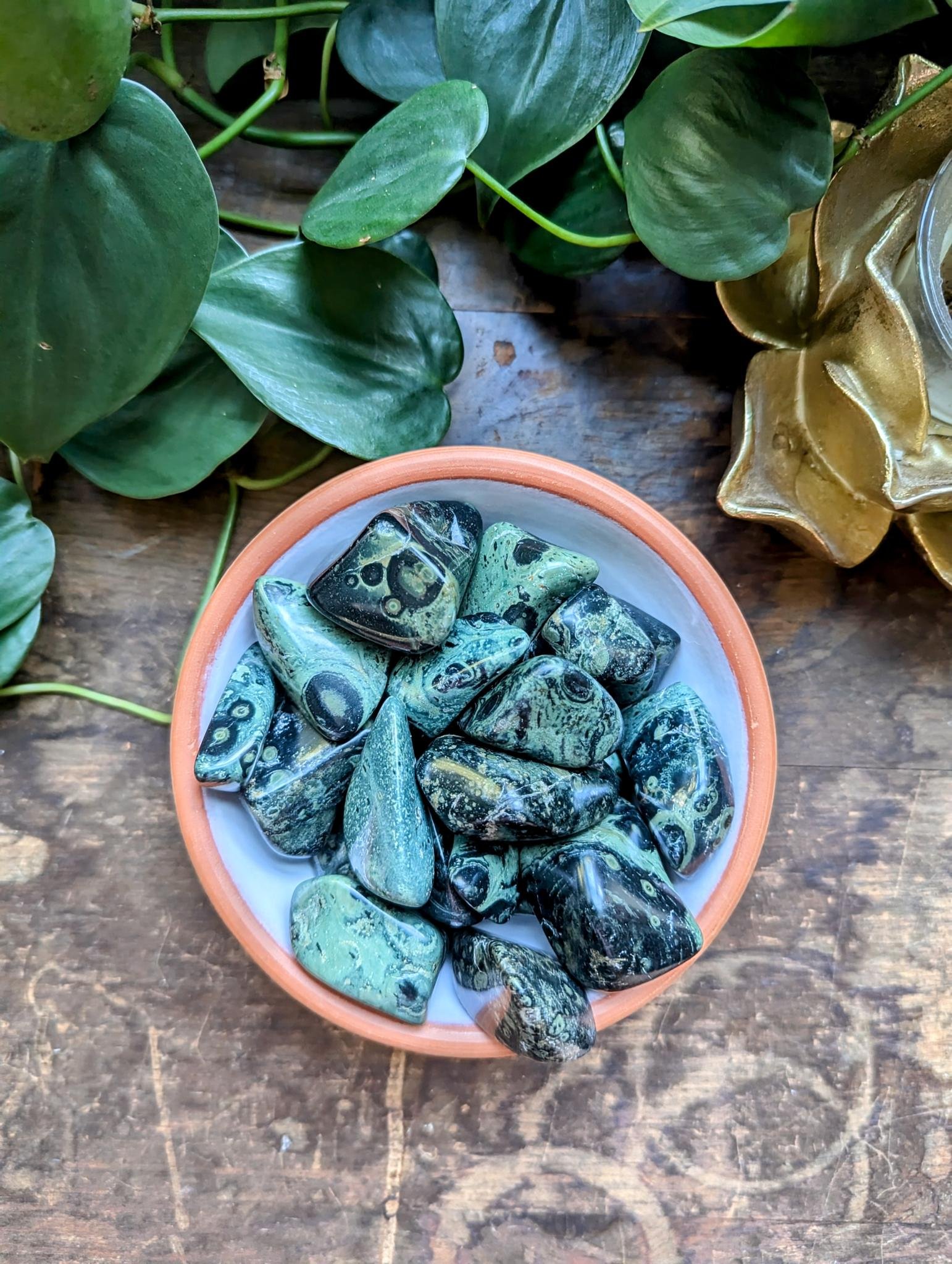 Kambaba Jasper 1.jpeg