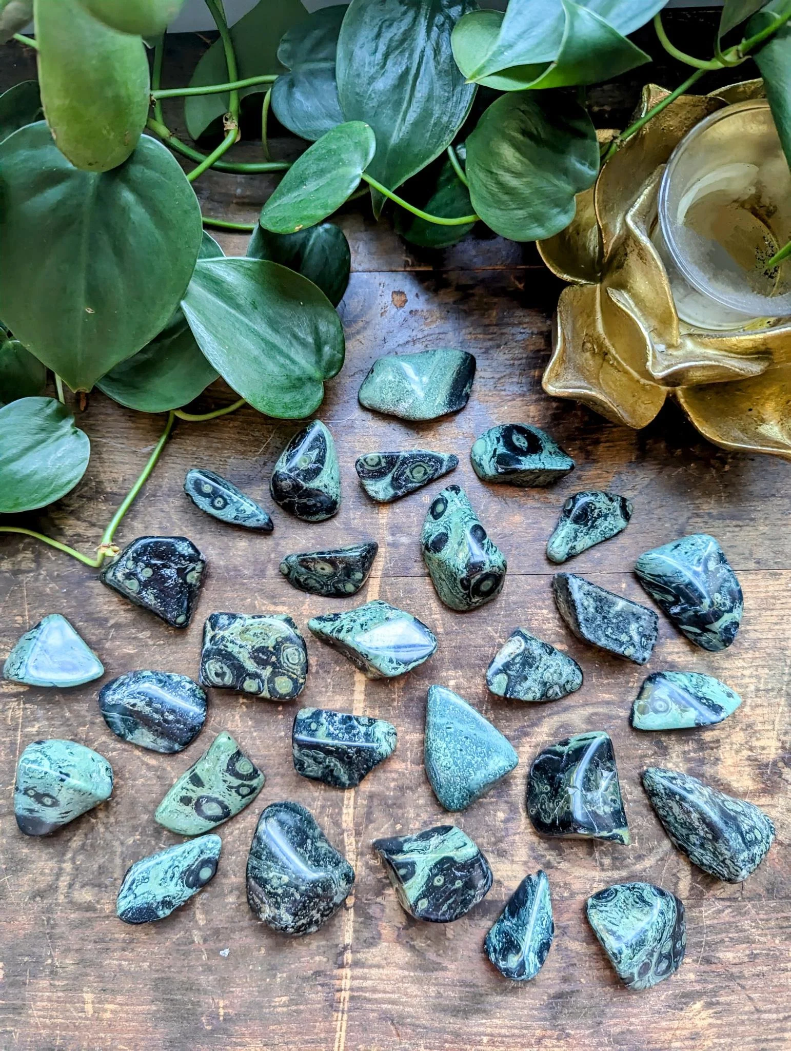 Kambaba Jasper 4.jpeg