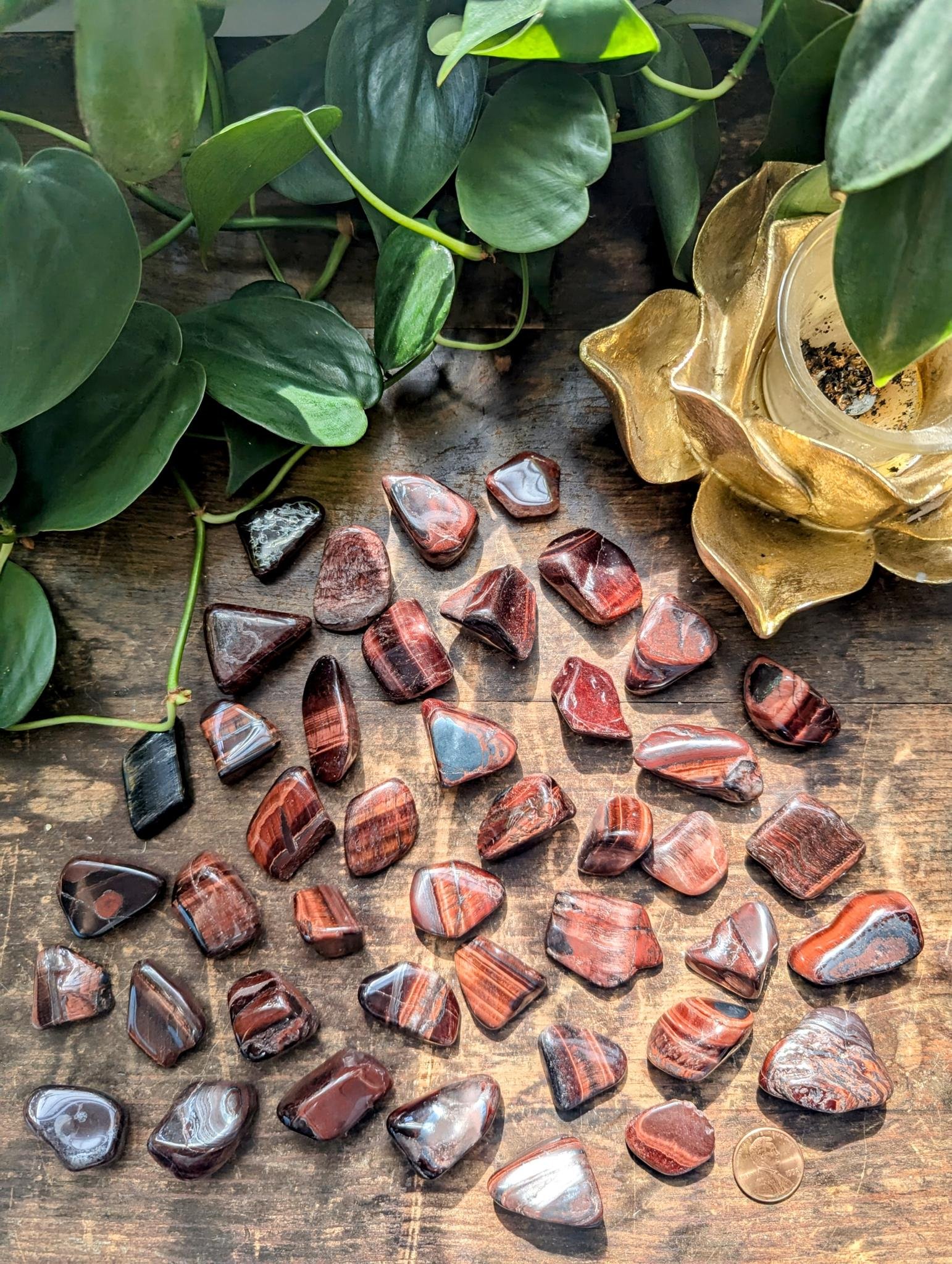 Red Tigers Eye 3.jpeg