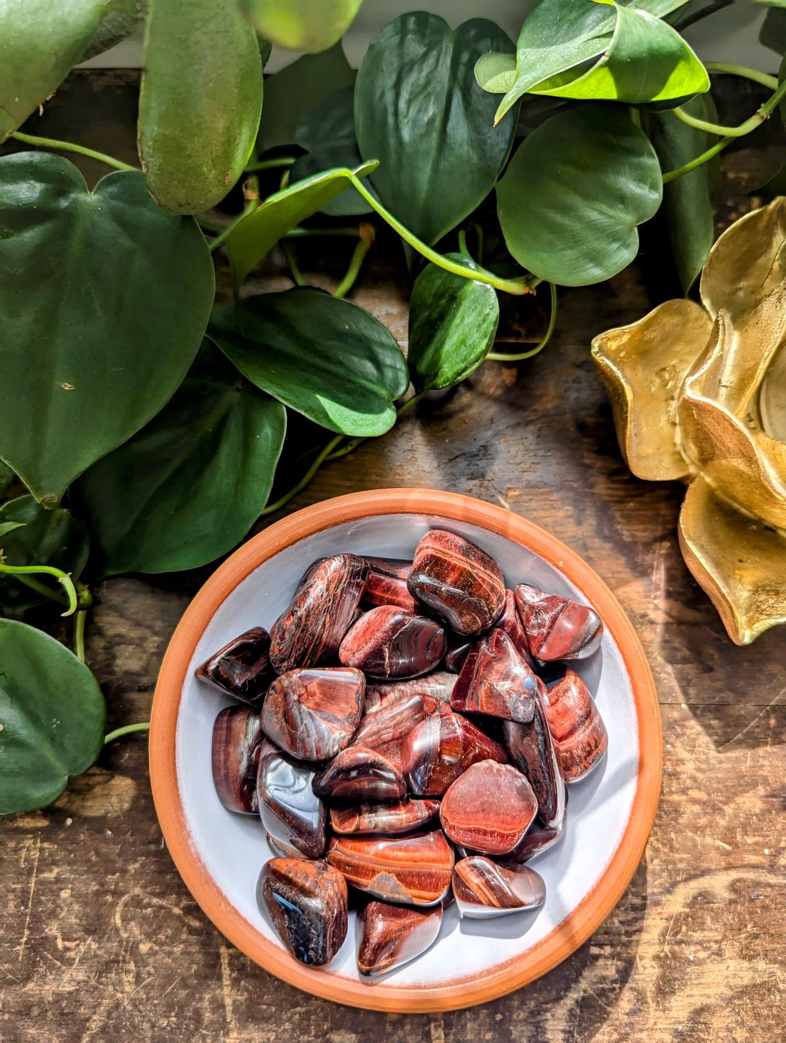 Red Tigers Eye 1.jpeg