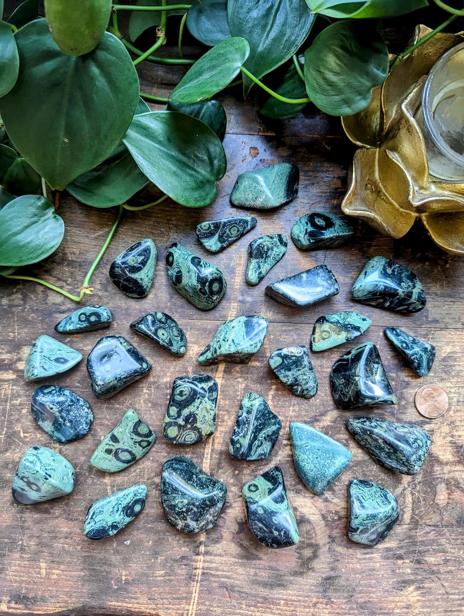 Kambaba Jasper 3.jpeg