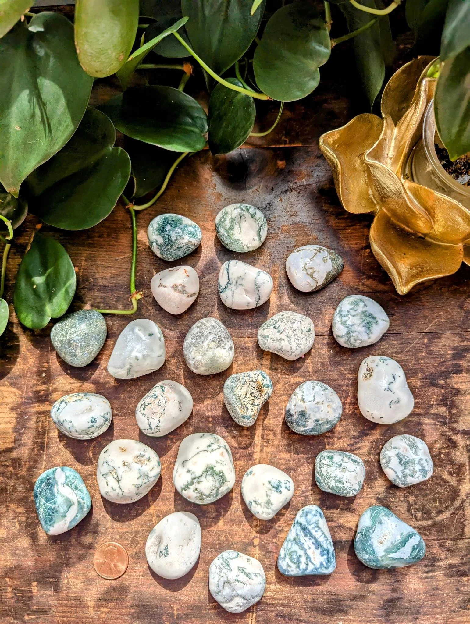 Tree Agate 3.jpeg