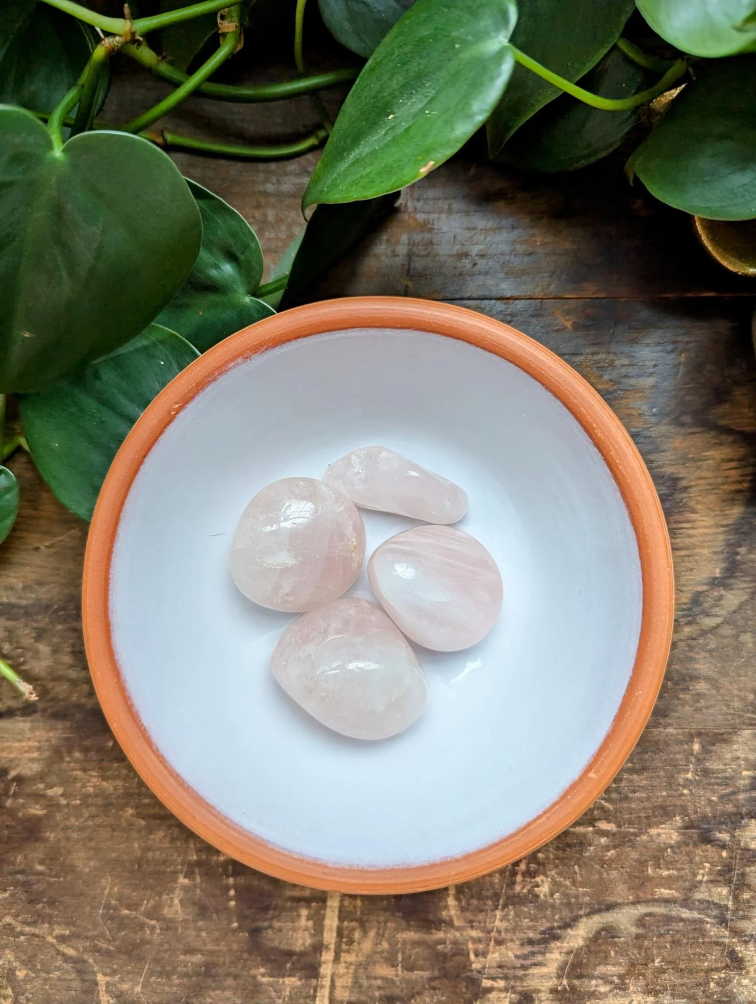 Rose Quartz Tumble 1.jpeg