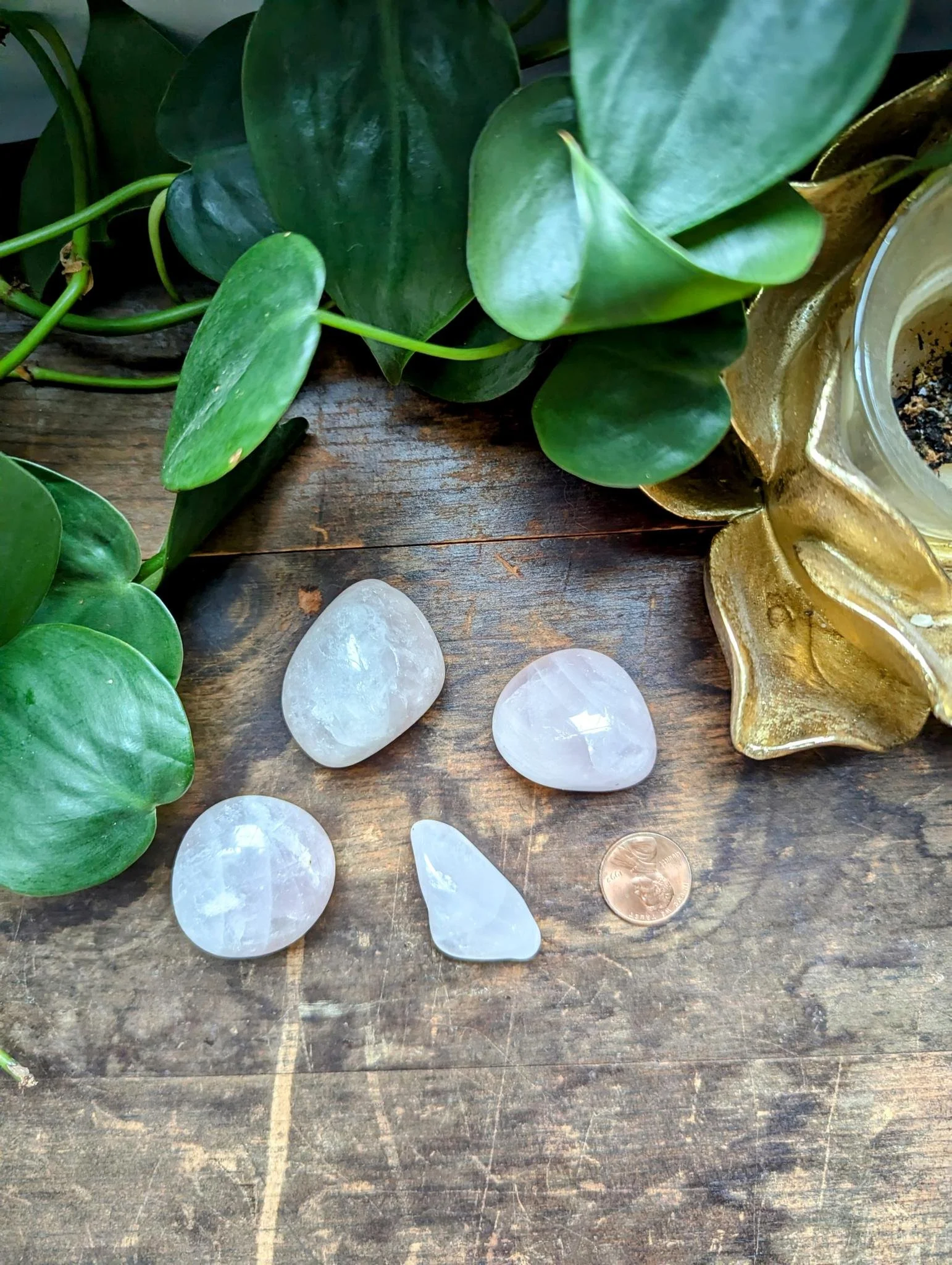 Rose Quartz Tumble 2.jpeg