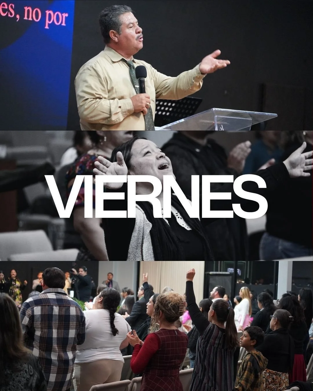 El perfil del doble animo 

Jas 1:5 Pero si alguno de vosotros se ve falto de sabidur&iacute;a, que la pida a Dios, el cual da a todos abundantemente y sin reproche , y le ser&aacute; dada.

Jas 1:6 Pero que pida con fe, sin dudar; porque el que duda