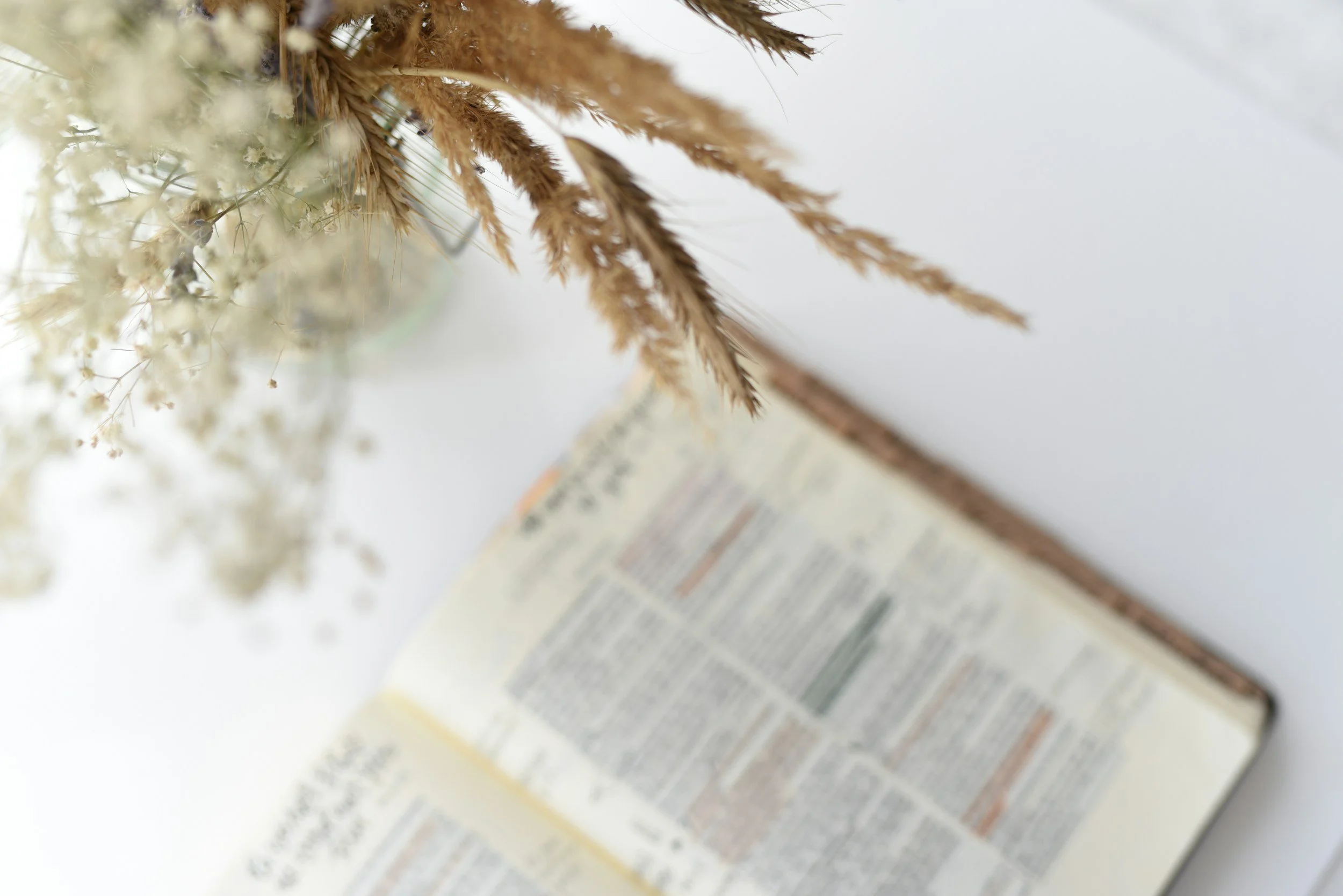 Open book, page with text, placed on white surface, near bouquet of dried white flowers and tall dried grass
