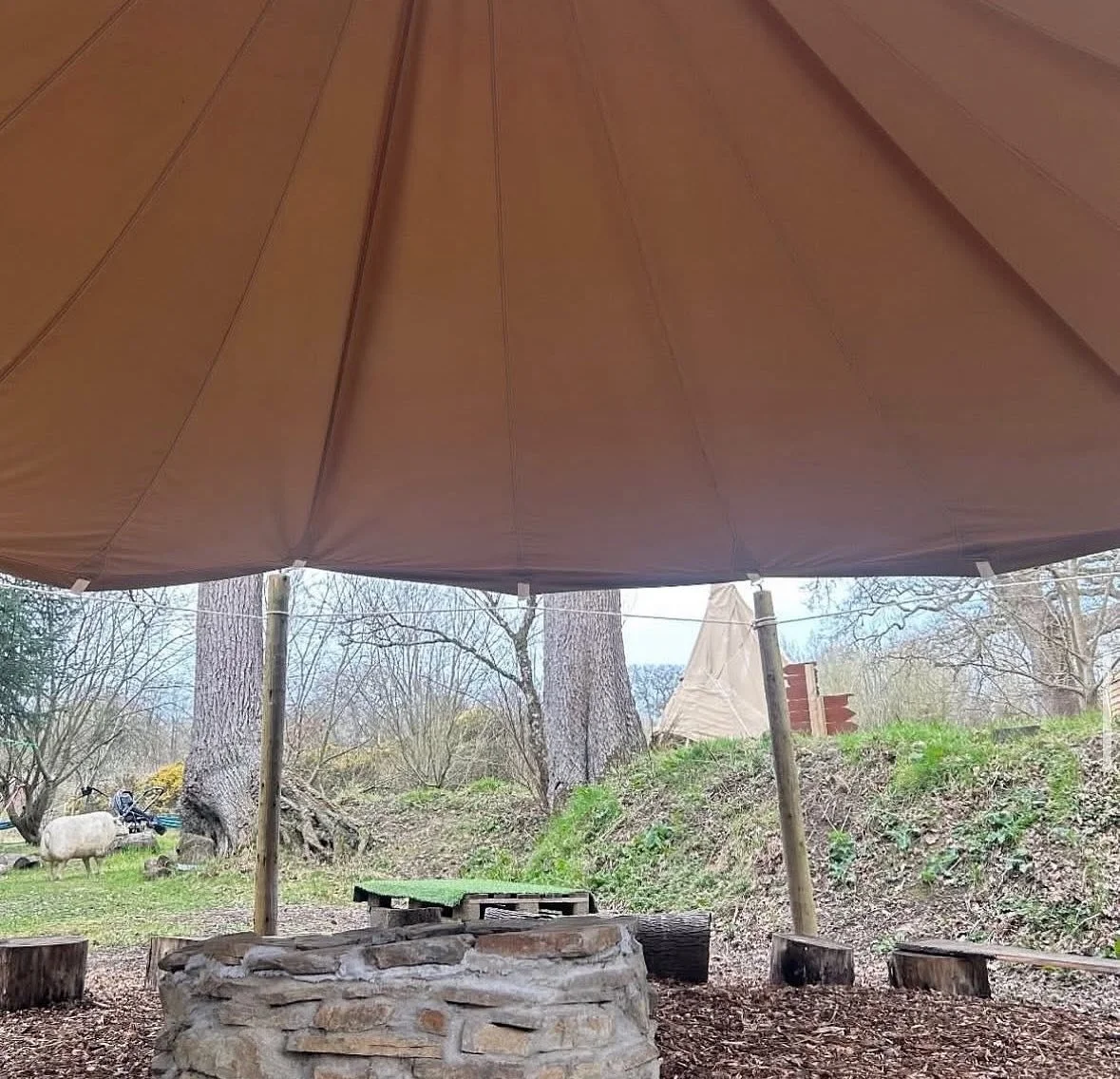 View of an outdoor area under a large brown canopy with a stone fire pit in the foreground, surrounded by trees and green grass, with a goat and some wood in the background.