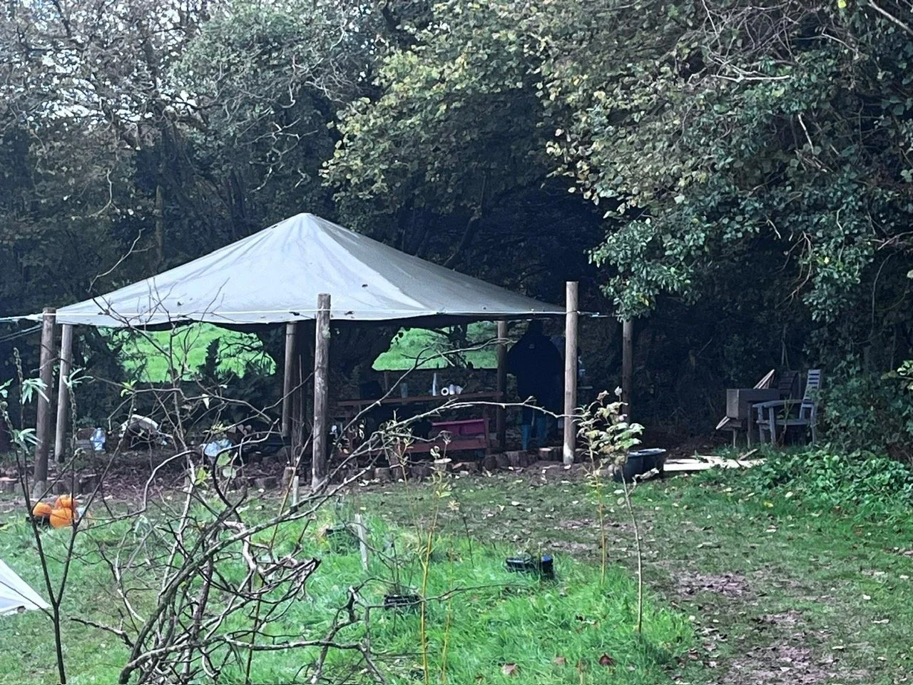 Outdoor classroom canopy UK made from sustainable timber