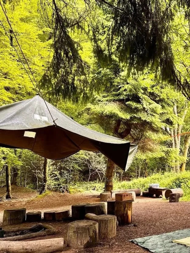 Camping site in a forest with a large tarp canopy, wooden stumps and logs for seating, surrounded by green trees.