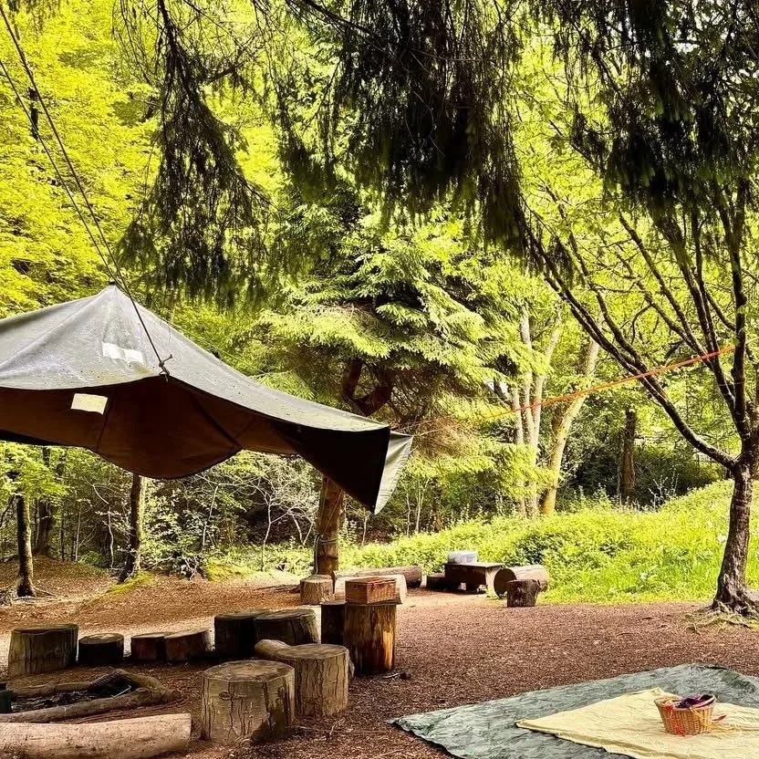 A camping scene in a forest with a canopy or tarp, wooden log seats, a yellow blanket, a small basket, and trees with lush green leaves.
