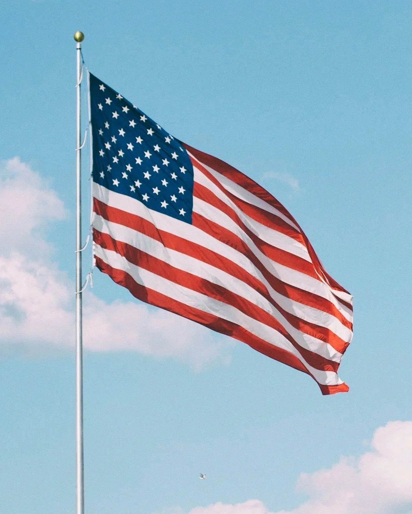 Government Medical Supply Contractor