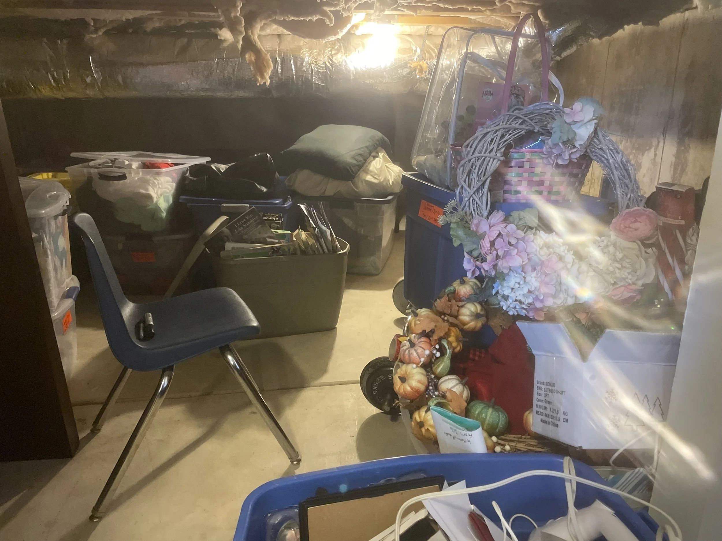 Crawl Space Before.jpeg