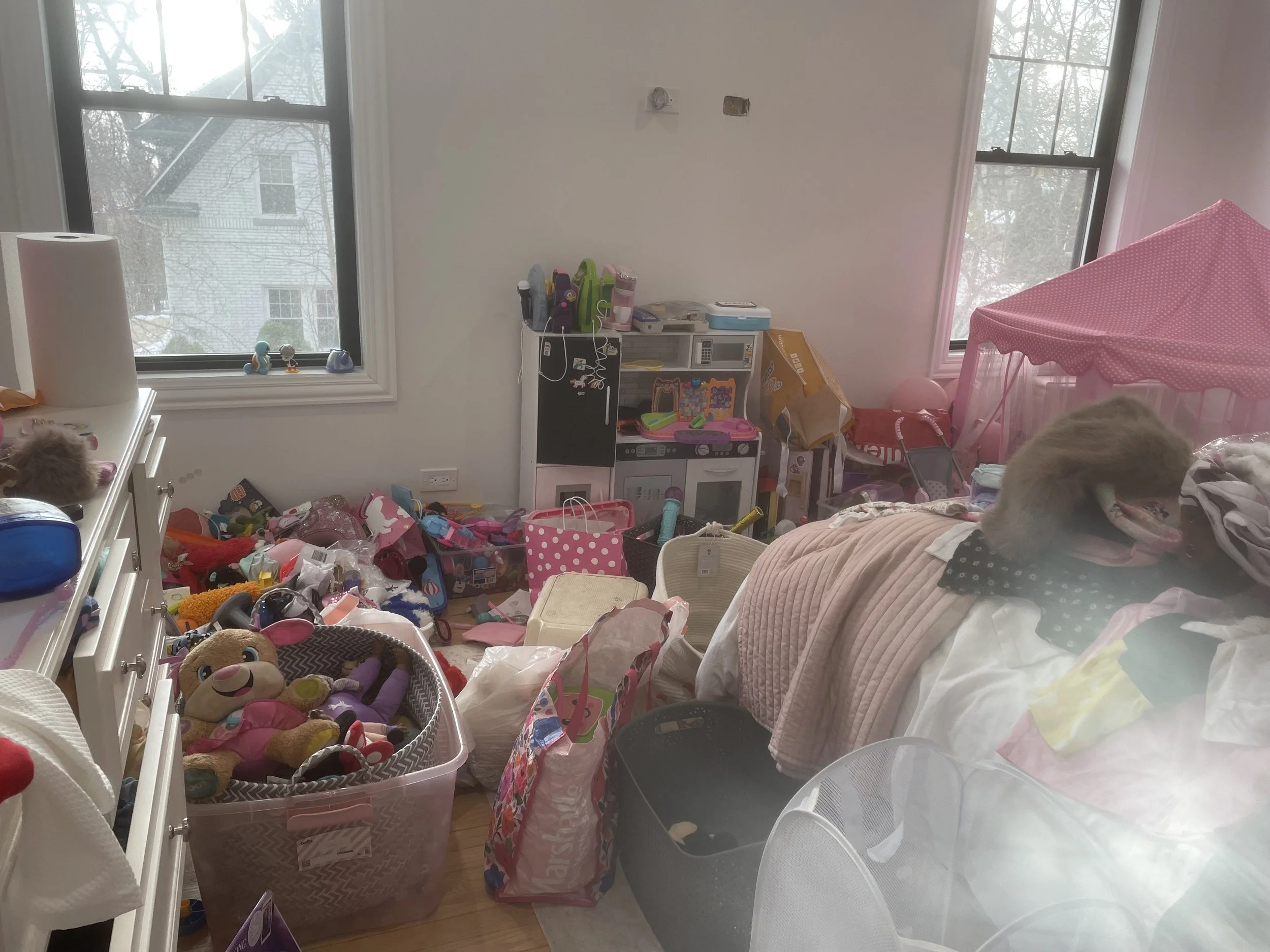 Sydneys Room Before.jpeg