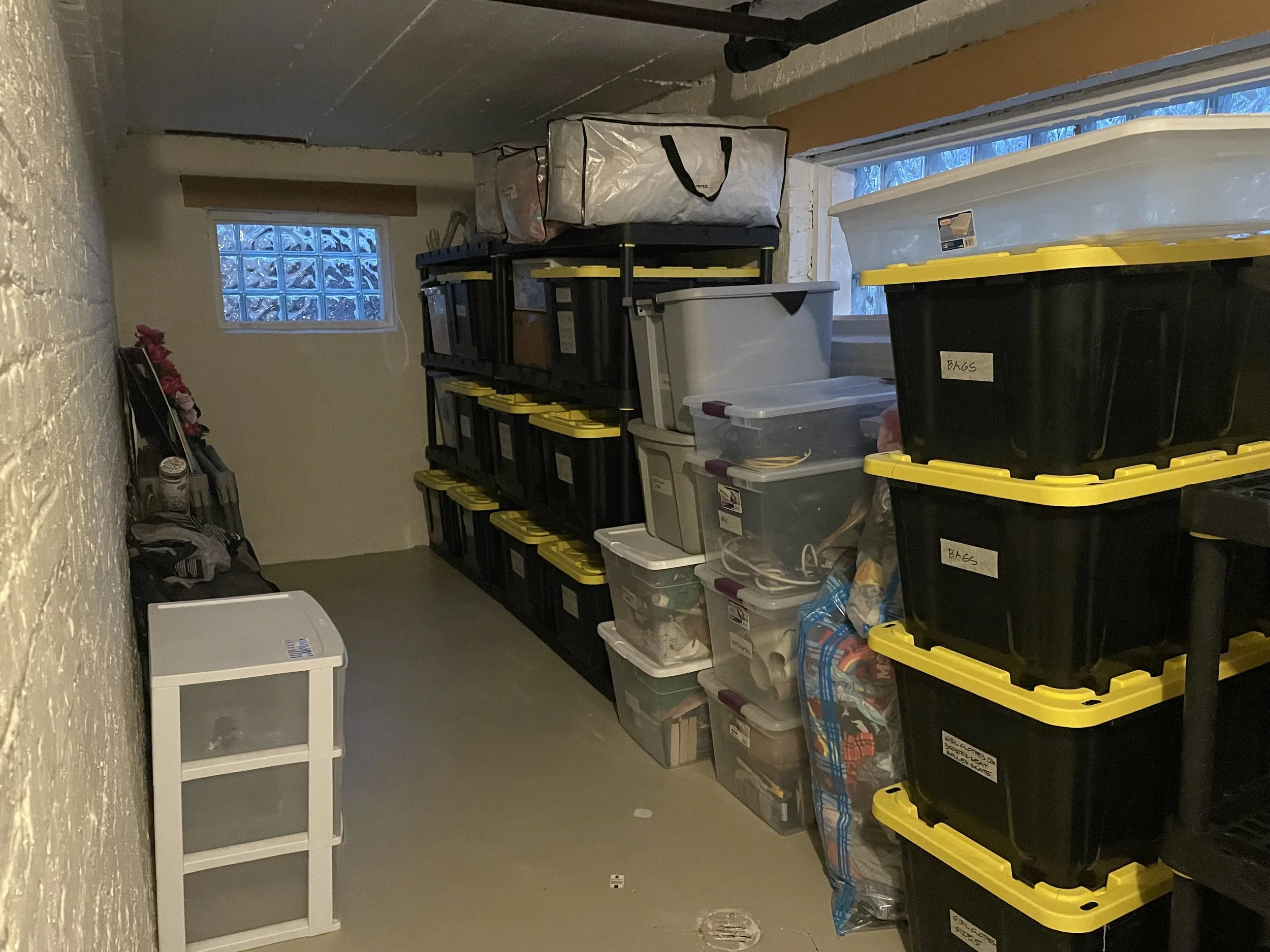 Basement Molly Storage After.jpeg