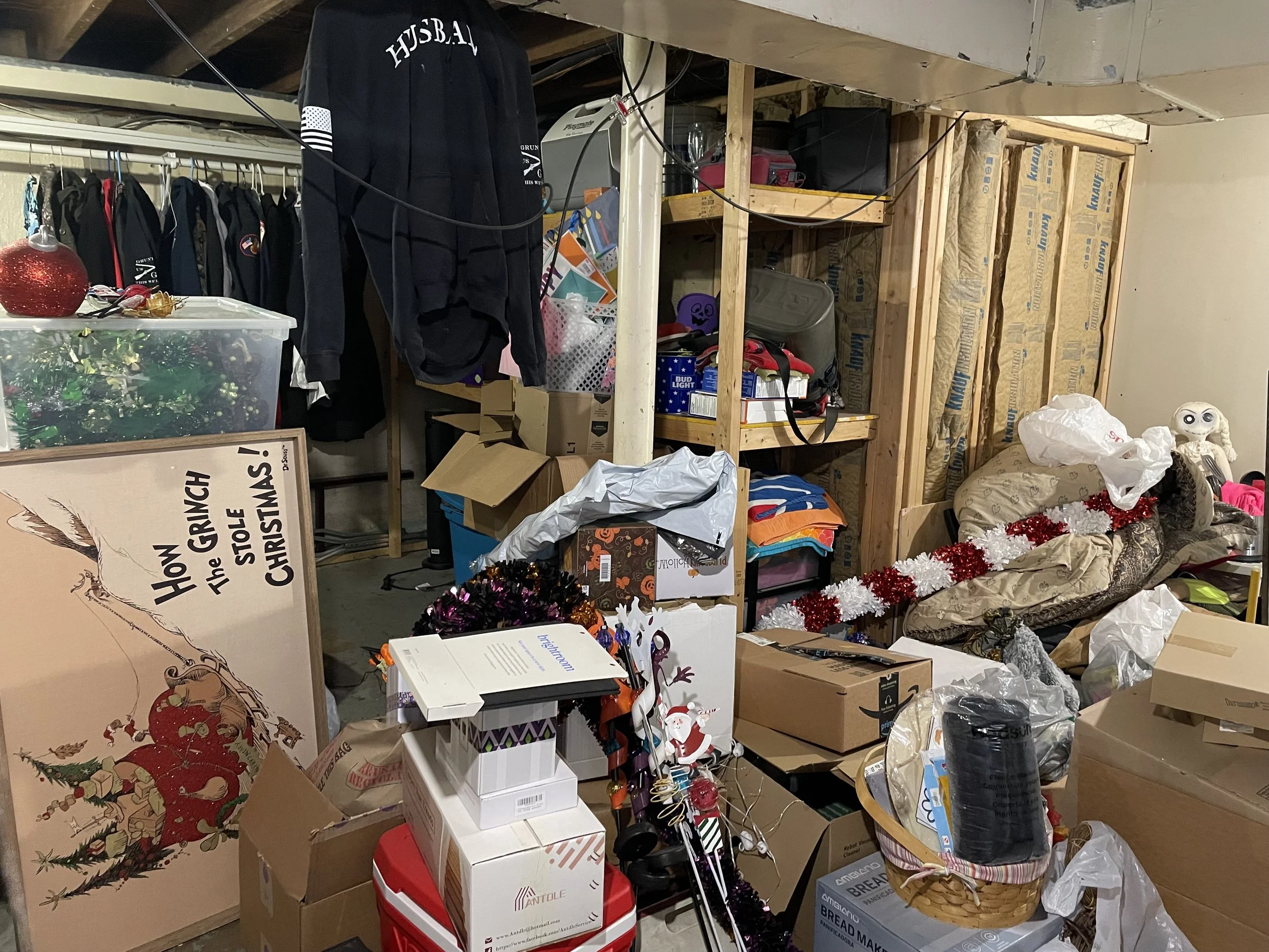 Amy Basement Before.jpeg