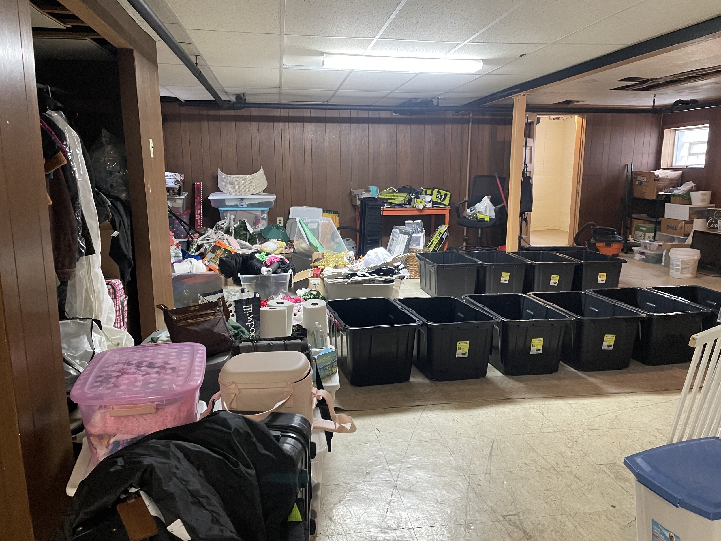 Basement Molly Before.jpeg