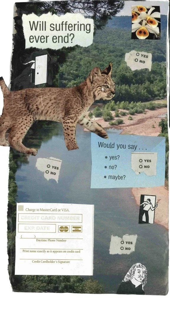 Will Suffering Ever End? (Print)