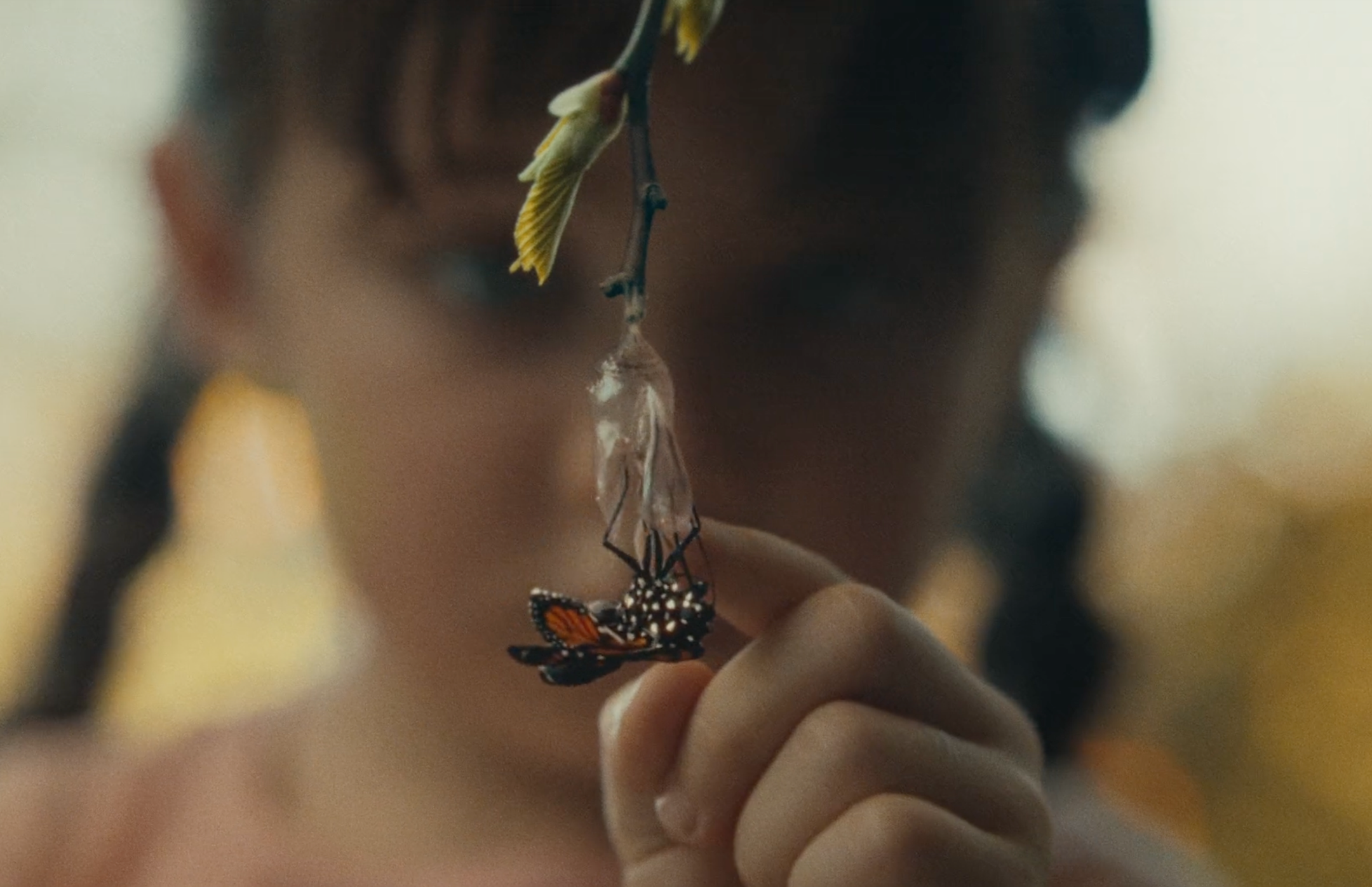 Ad Films