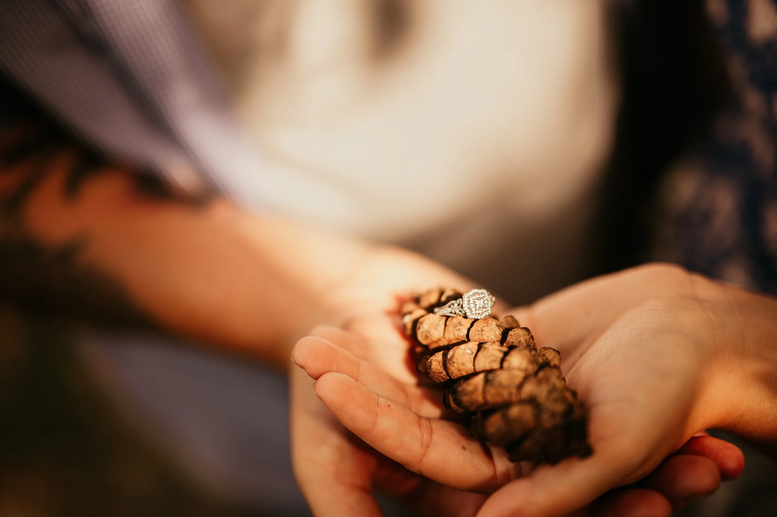Owensboro Kentucky Engaged couple holding a pine cone displaying the new engagement ring white gold with square cluster diamonds surrounding counties Newburgh Bowling Green Evansville Henderson Nashville