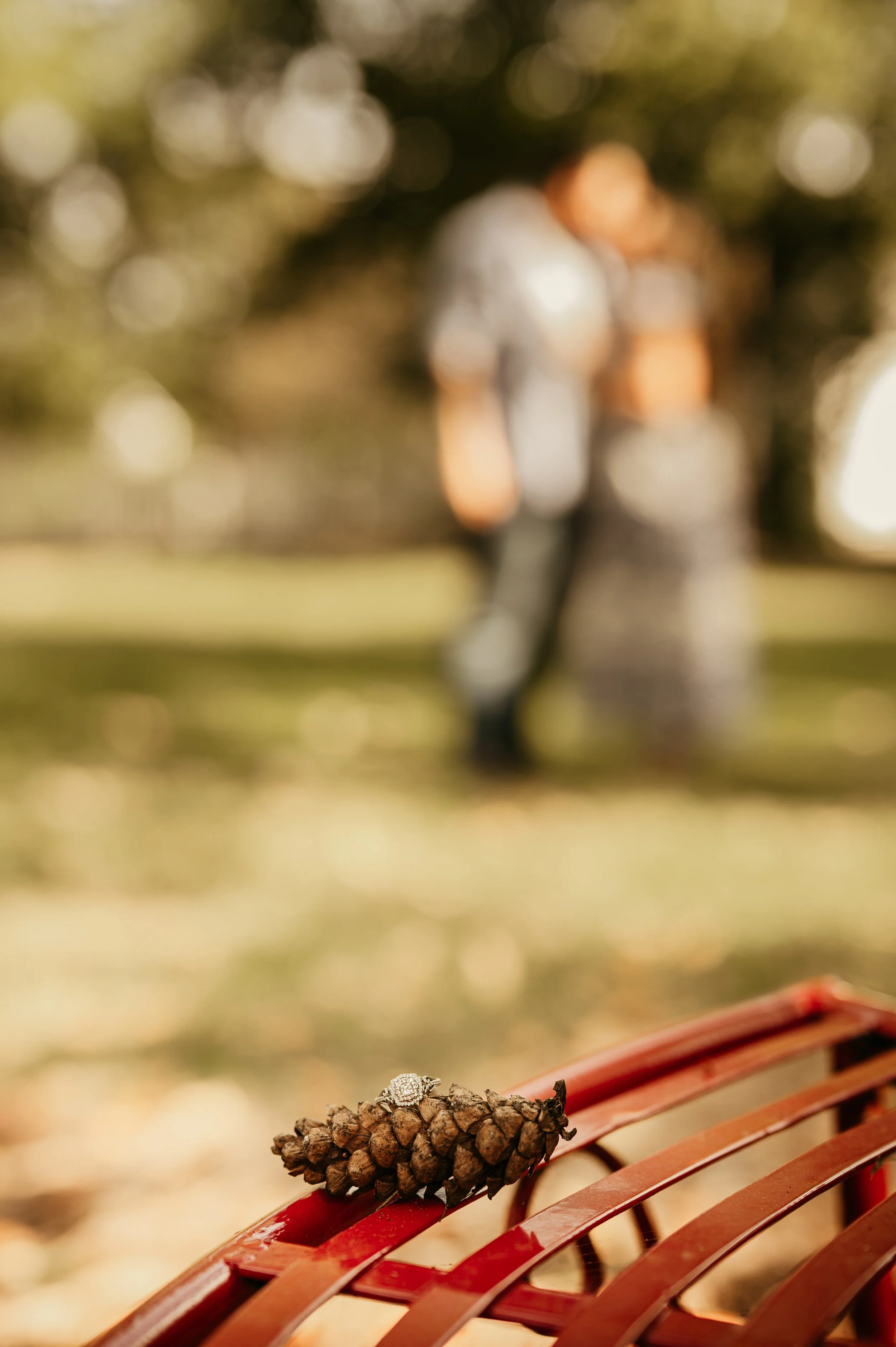 Engaged couple hiking together in Kentucky countryside