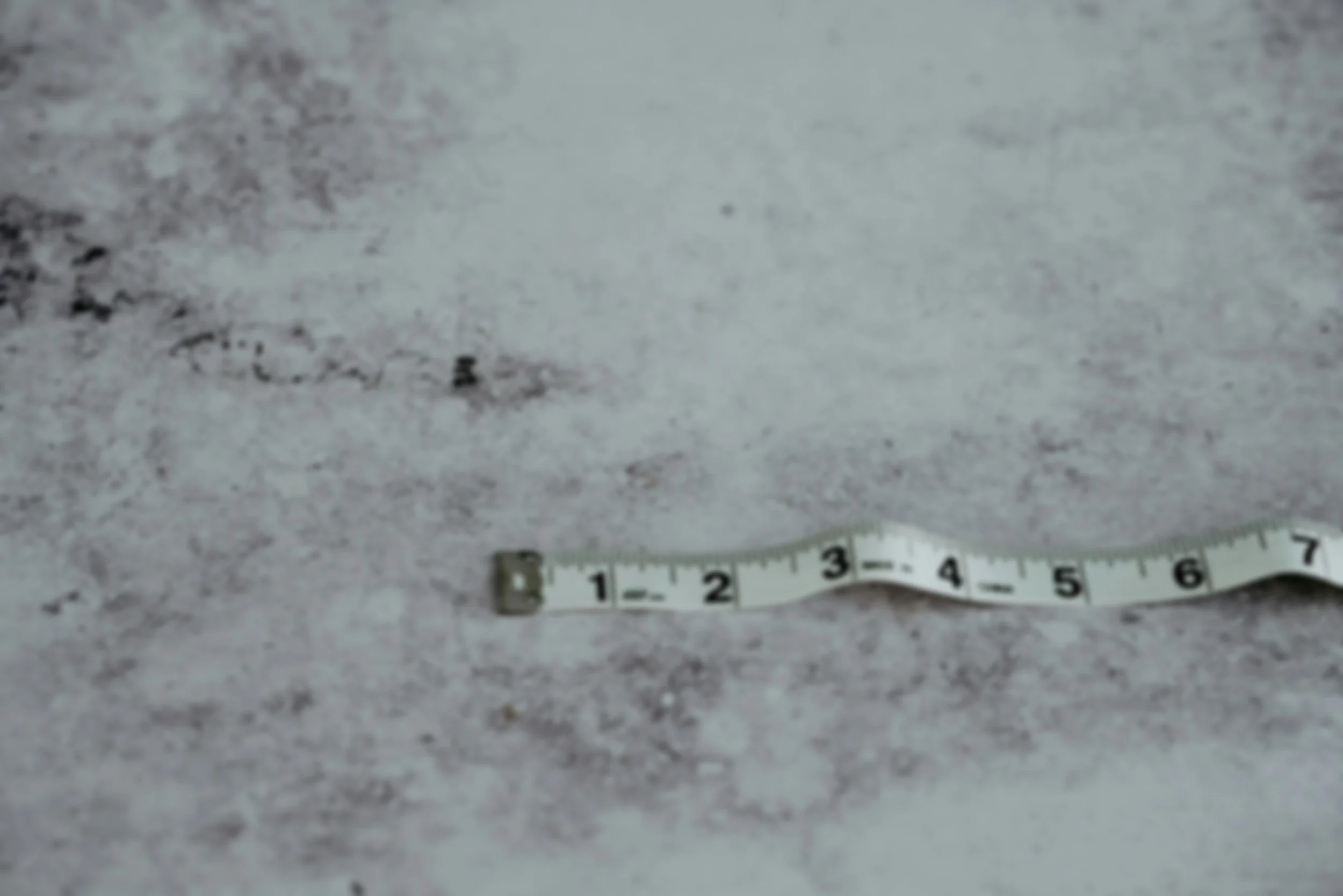 unsplash-image-Pa2EMnpJGVk.jpg