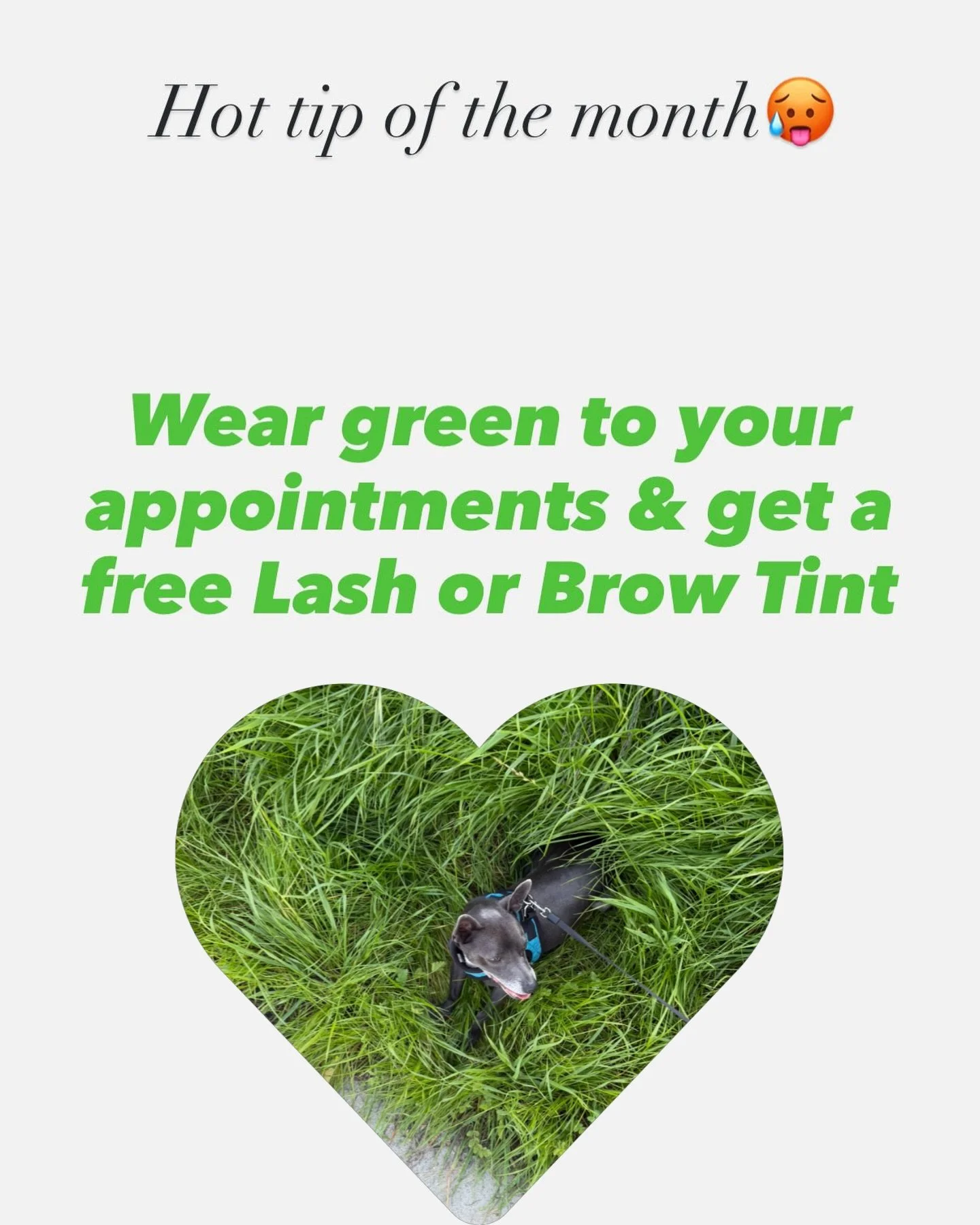 Green is sexy💚

#selfcareappointment #browtint #lashtint #tintspecial #linitedtimeoffer