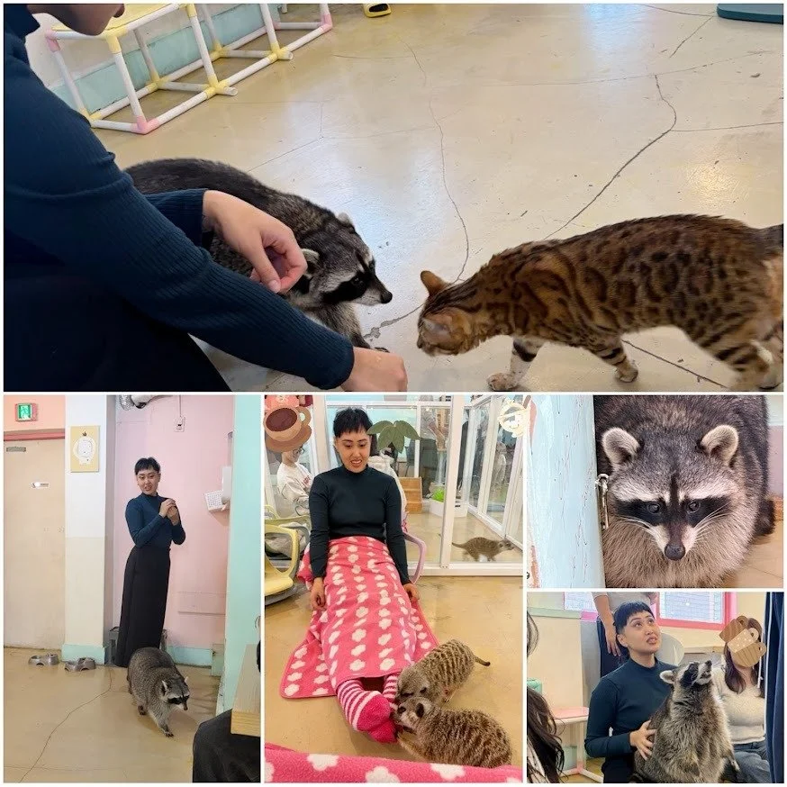 Fun Fact: I Love Animals (except arachnids &amp; bugs)