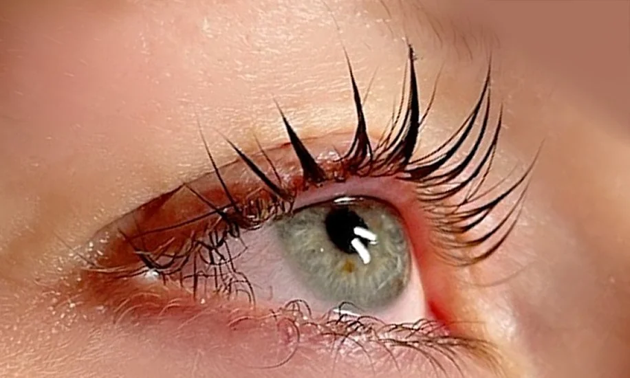 Lash Lift Essentials
