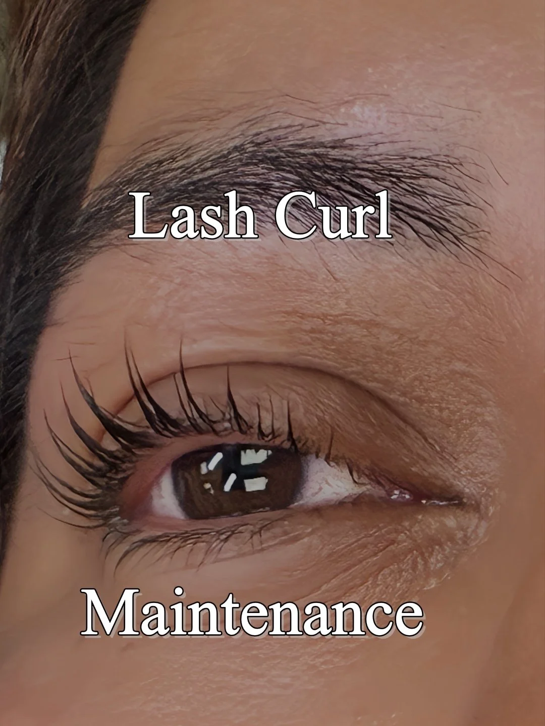 Lash Curl Maintenance
