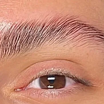 Close-up of a person's eye with well-groomed eyebrows.