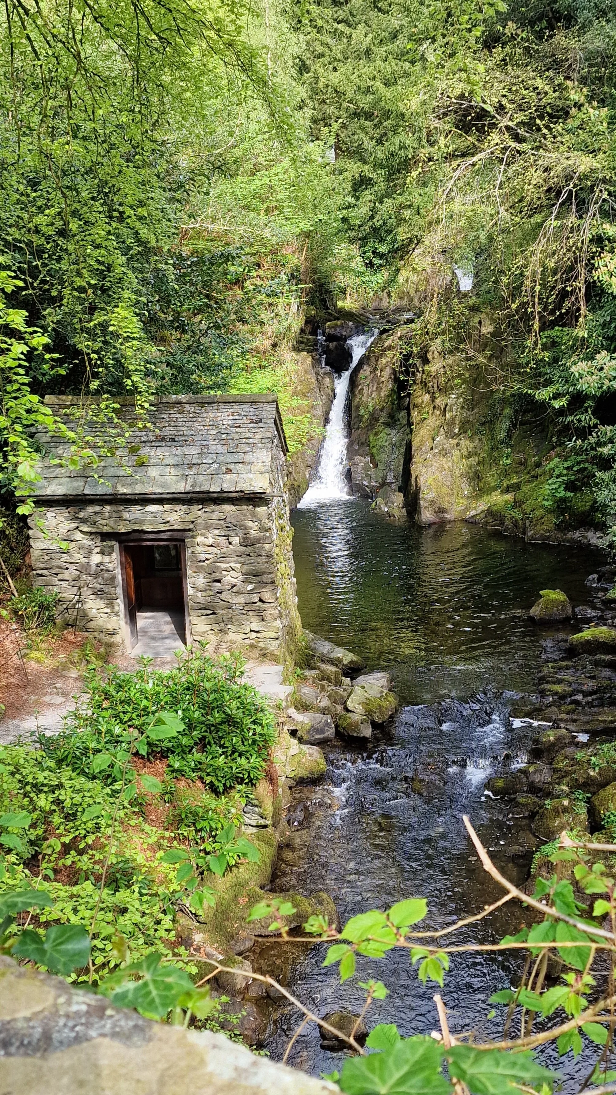 Rydal Hall this year was magical!