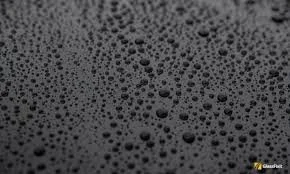 Hydrophobic Windshield Coating