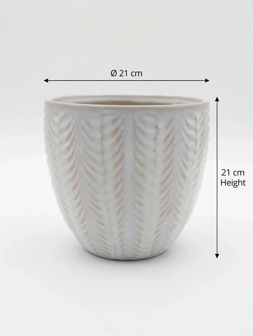 White_Glazed_Ceramic_Plant_Pot-1.jpg