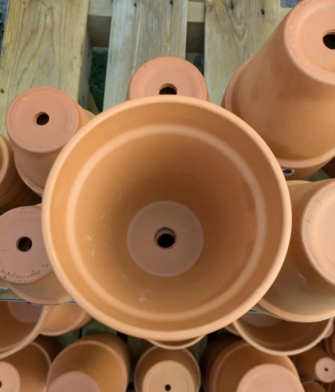 Terracotta_Plant_Pots-1.jpg