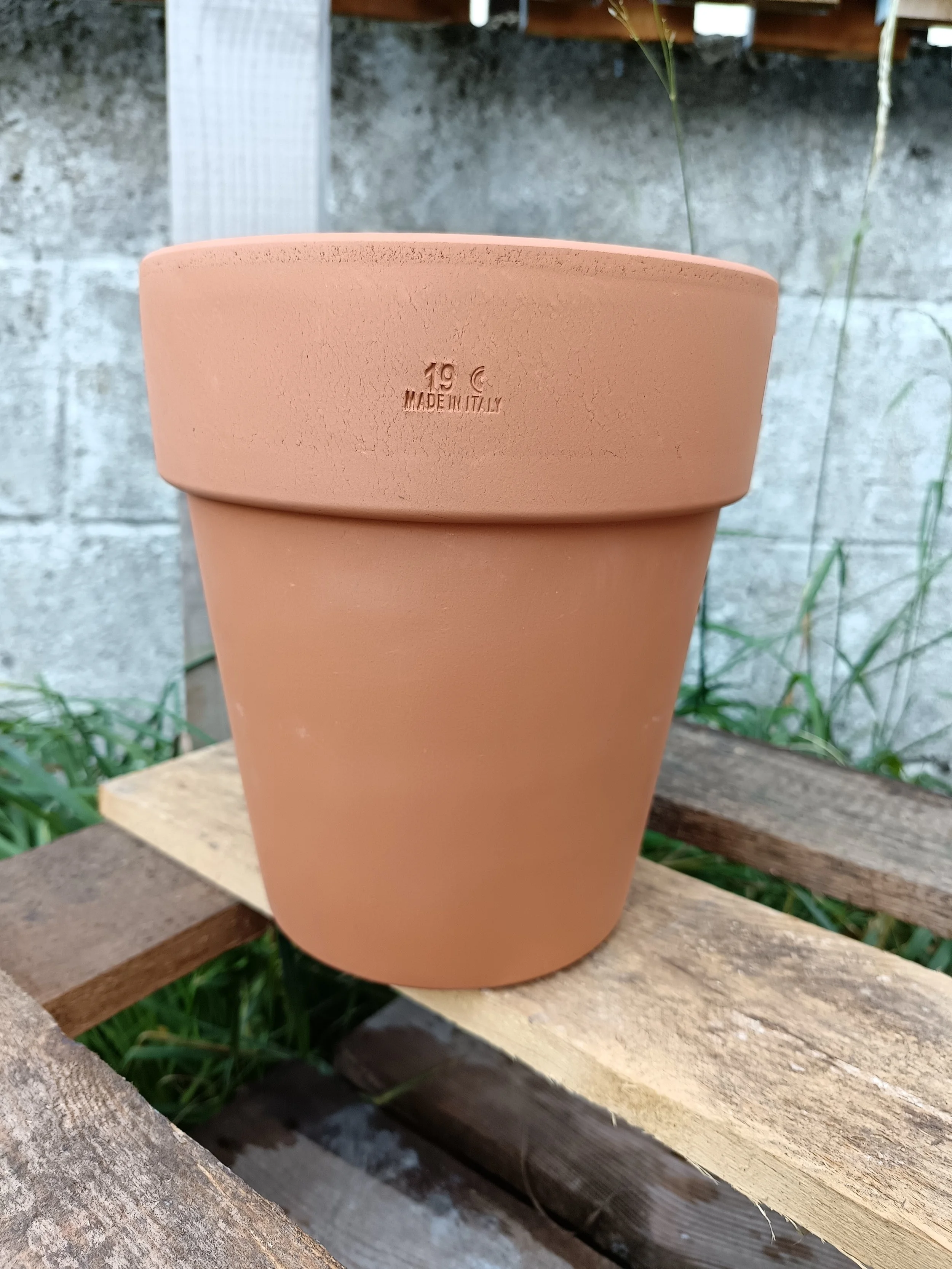 Long Tom Terracotta Pot | 15cm and 19cm Diameter