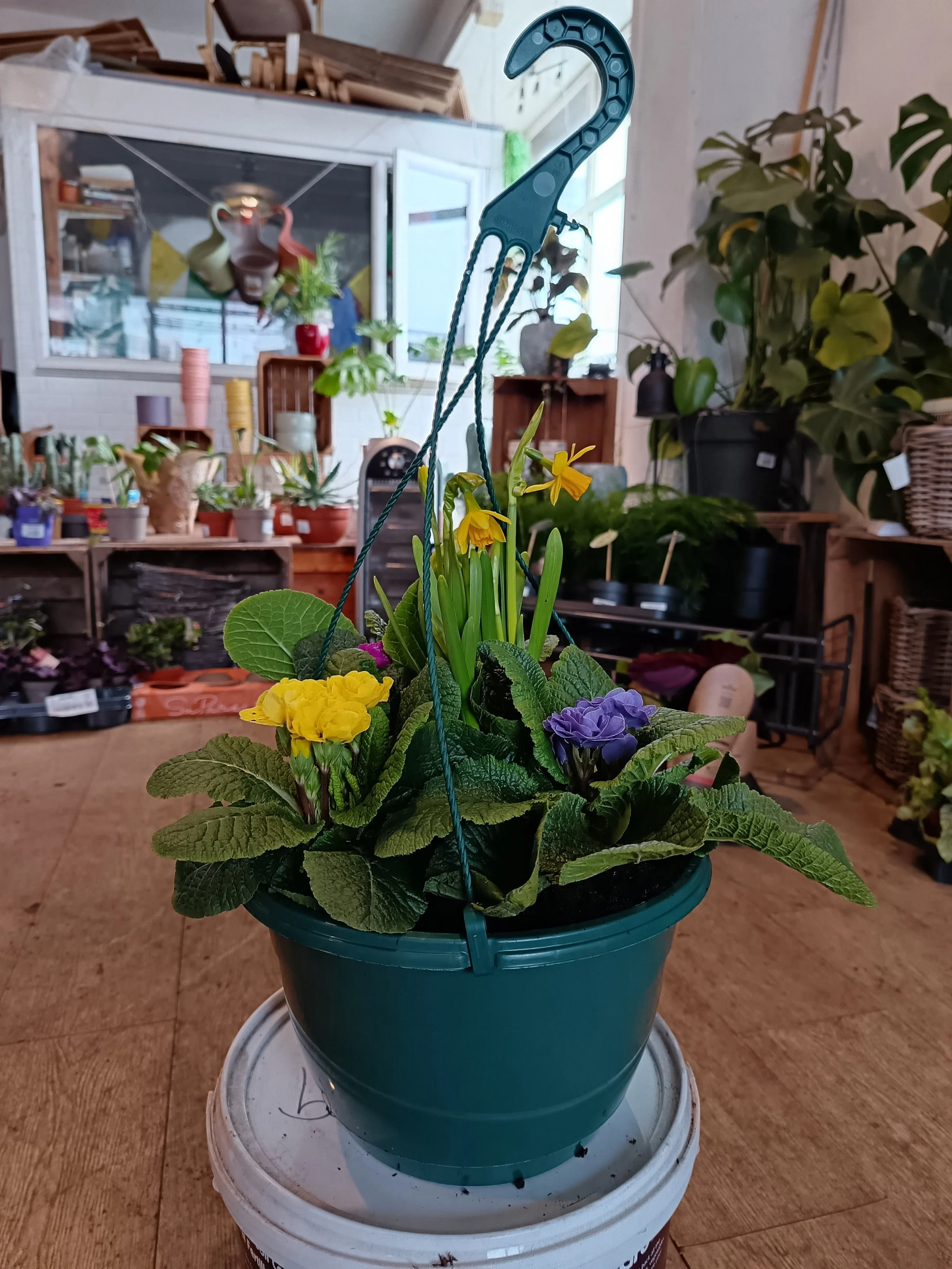 Spring Hanging Basket